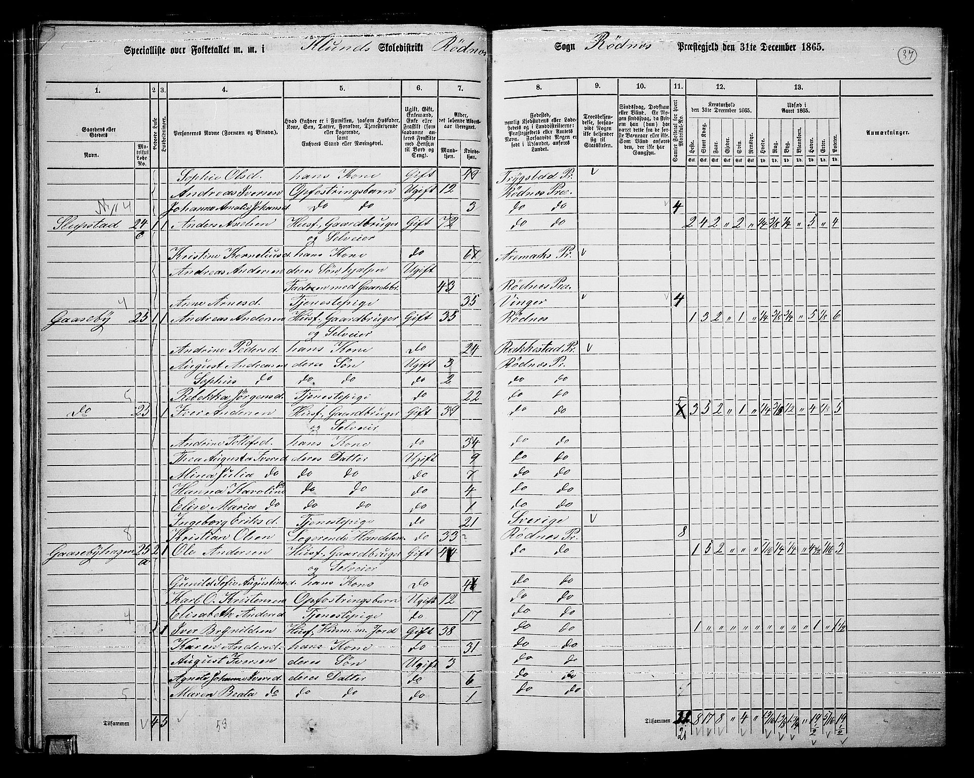 RA, Folketelling 1865 for 0120P Rødenes prestegjeld, 1865, s. 33