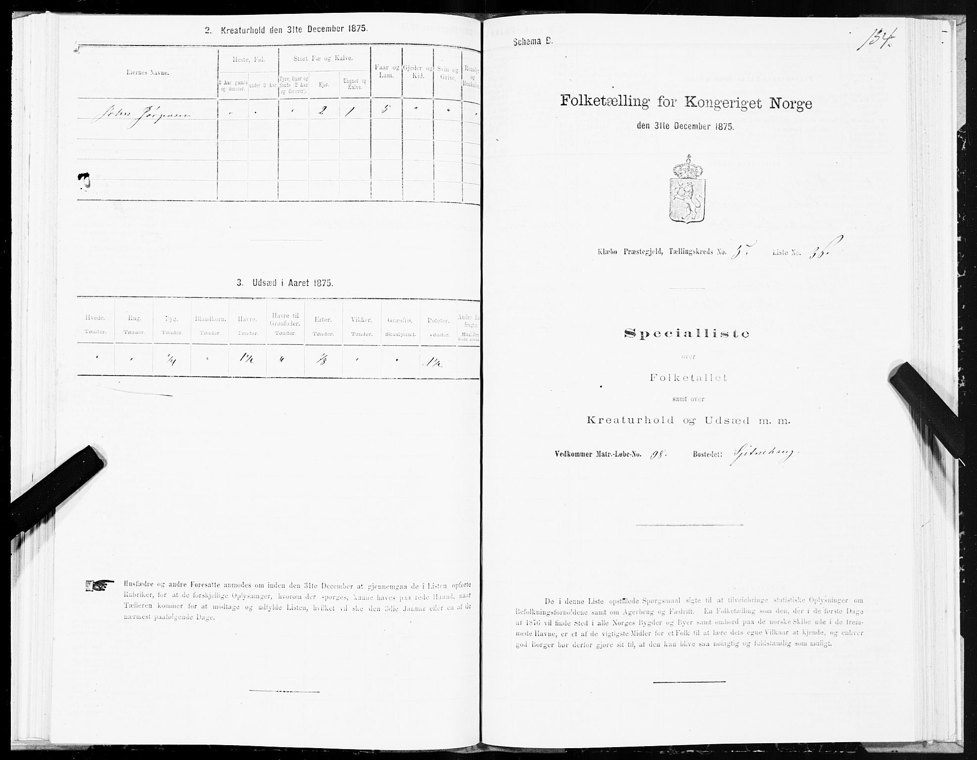 SAT, Folketelling 1875 for 1662P Klæbu prestegjeld, 1875, s. 2134