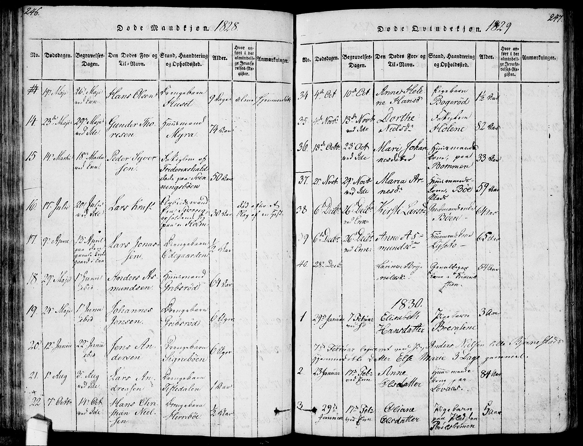 Idd prestekontor Kirkebøker, AV/SAO-A-10911/F/Fc/L0002: Ministerialbok nr. III 2, 1815-1831, s. 246-247