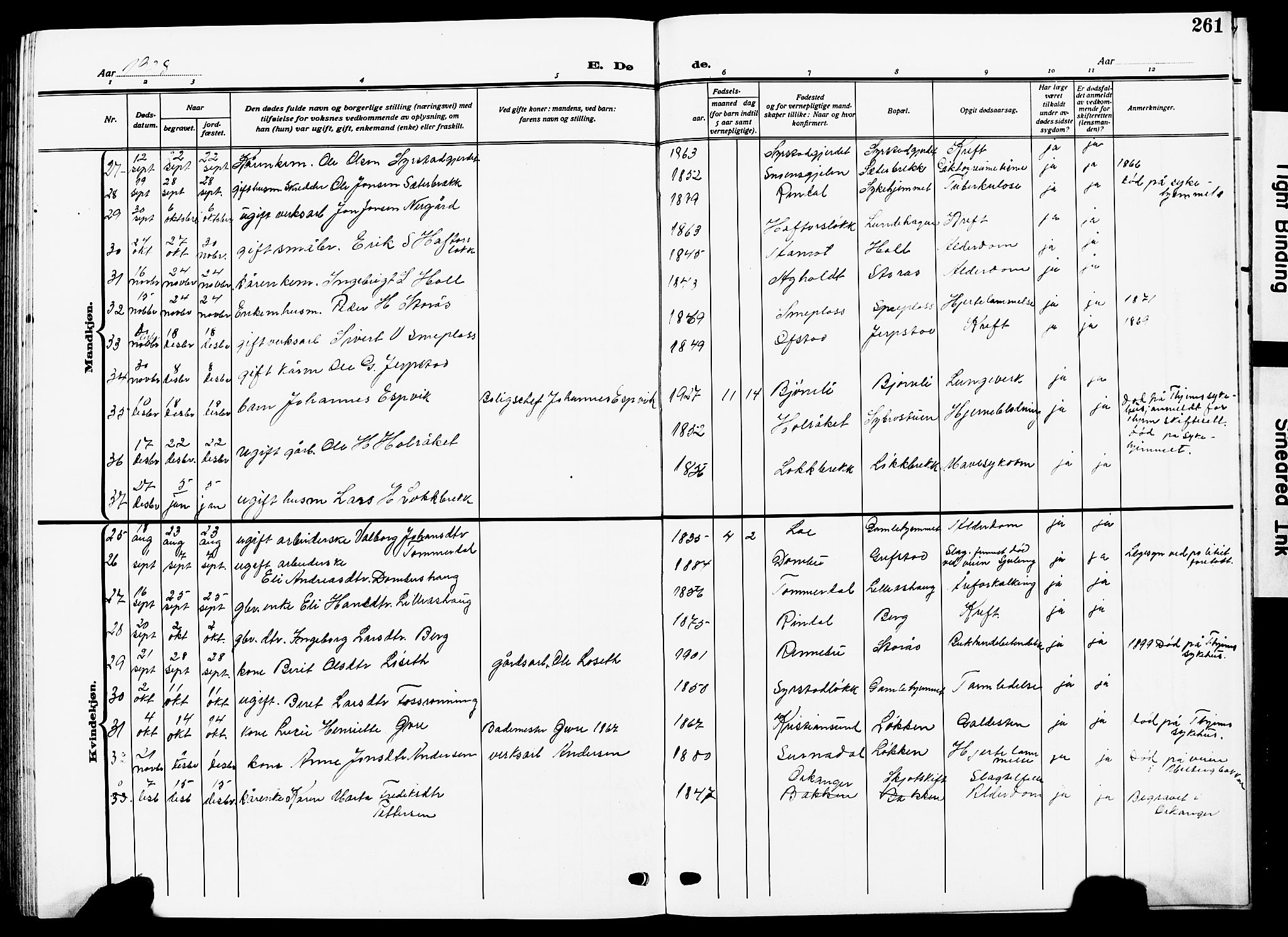 Ministerialprotokoller, klokkerbøker og fødselsregistre - Sør-Trøndelag, AV/SAT-A-1456/672/L0865: Klokkerbok nr. 672C04, 1914-1928, s. 261