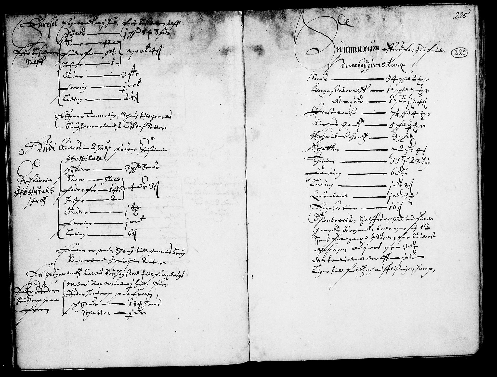 Rentekammeret inntil 1814, Realistisk ordnet avdeling, RA/EA-4070/N/Nb/Nba/L0015: Gudbrandsdalen fogderi, 2. del, 1668, s. 224b-225a