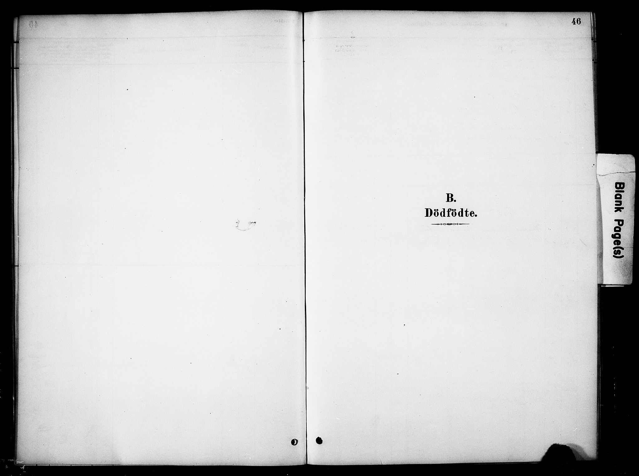 Tynset prestekontor, SAH/PREST-058/H/Ha/Haa/L0023: Ministerialbok nr. 23, 1880-1901, s. 46