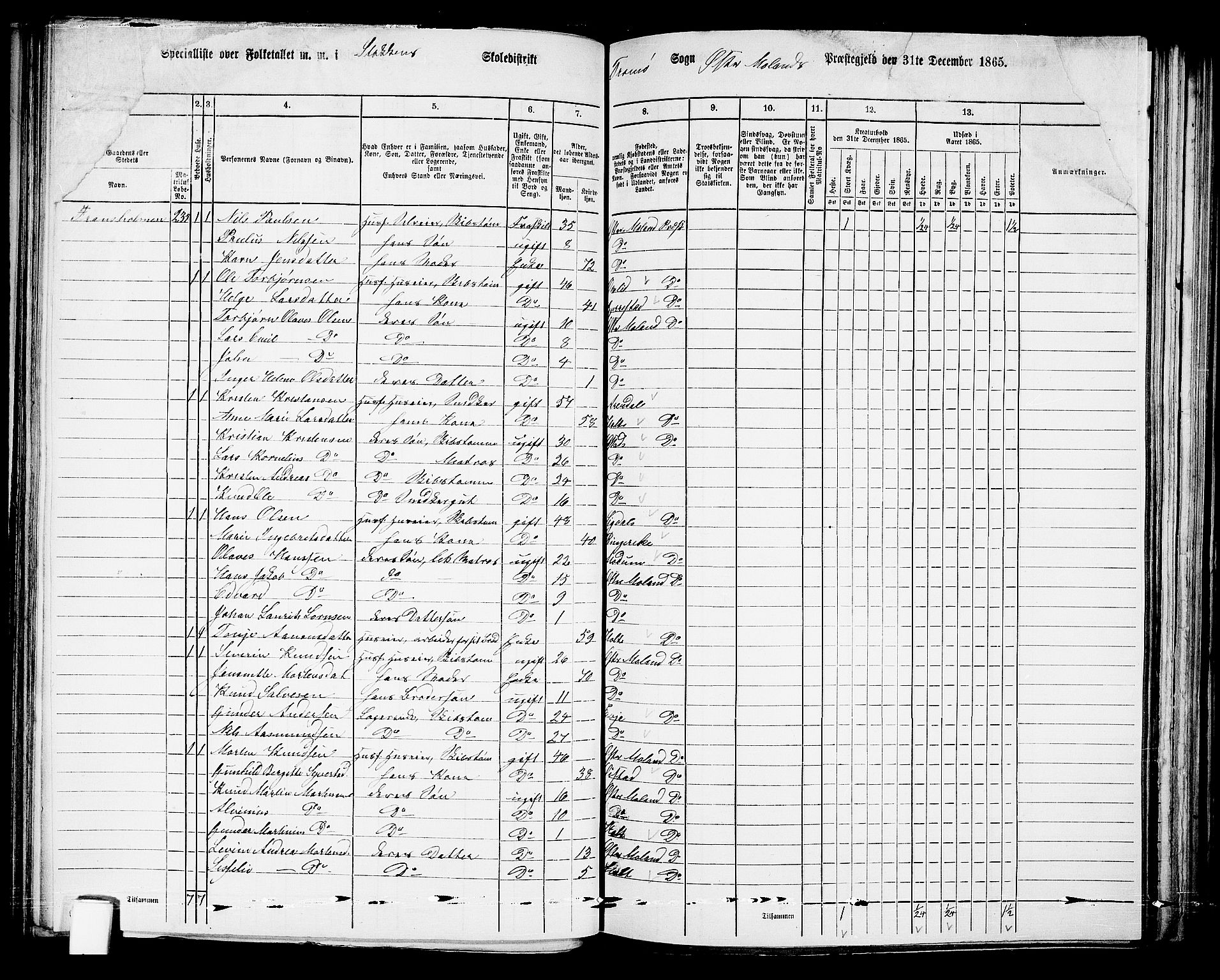 RA, Folketelling 1865 for 0918P Austre Moland prestegjeld, 1865, s. 141