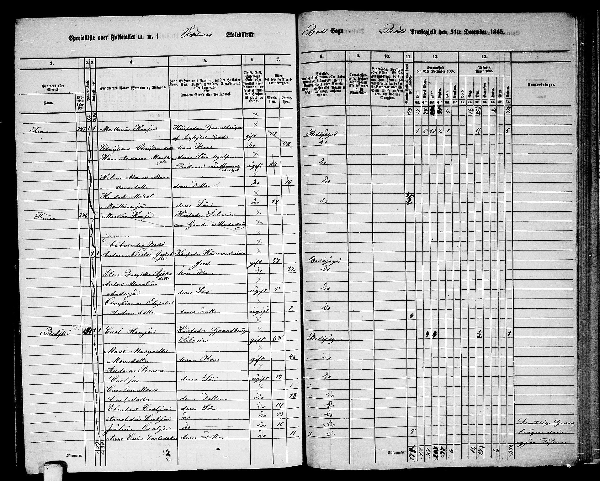 RA, Folketelling 1865 for 1843L Bodø prestegjeld, Bodø landsokn, 1865, s. 144