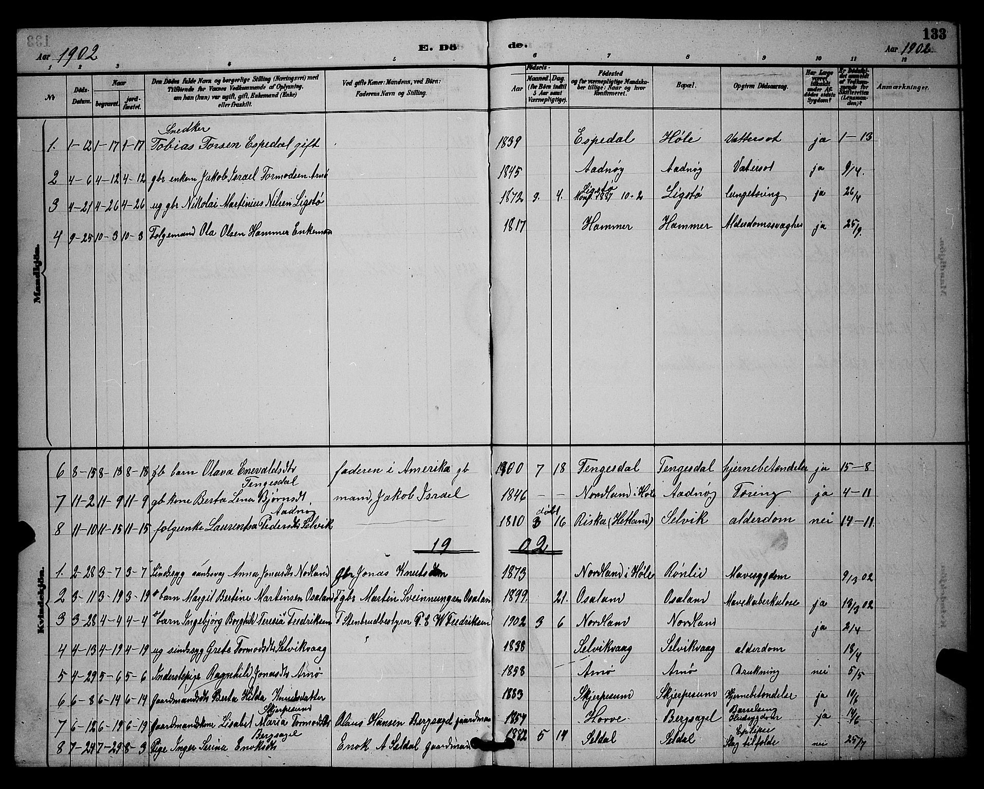 Høgsfjord sokneprestkontor, SAST/A-101624/H/Ha/Hab/L0003: Klokkerbok nr. B 3, 1886-1905, s. 133