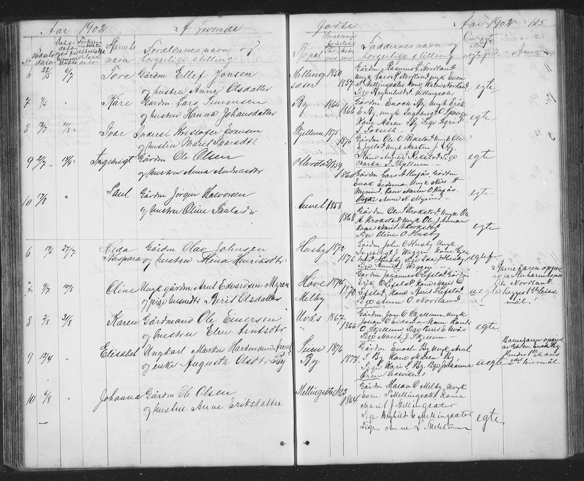 Ministerialprotokoller, klokkerbøker og fødselsregistre - Sør-Trøndelag, SAT/A-1456/667/L0798: Klokkerbok nr. 667C03, 1867-1929, s. 125