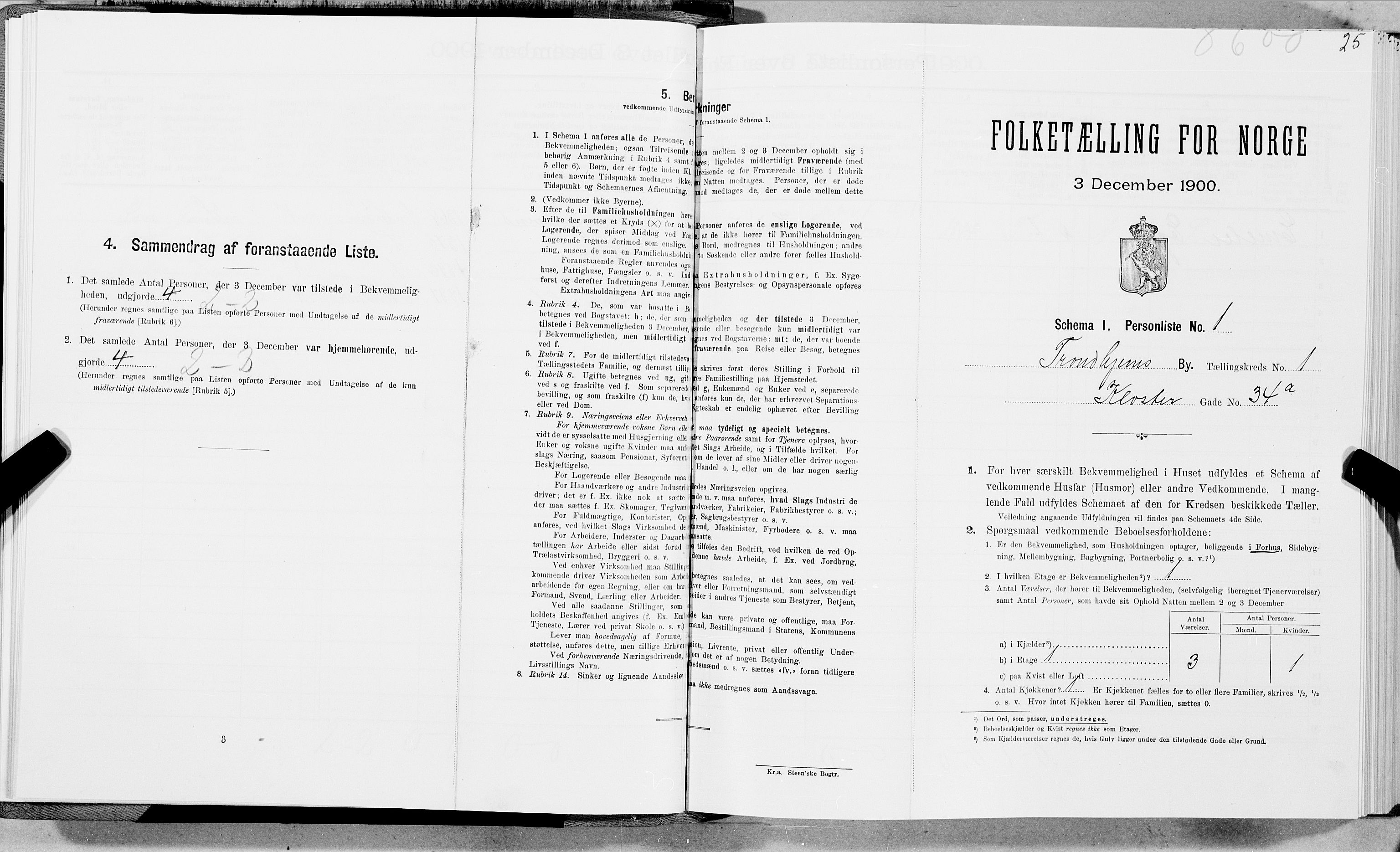 SAT, Folketelling 1900 for 1601 Trondheim kjøpstad, 1900, s. 195