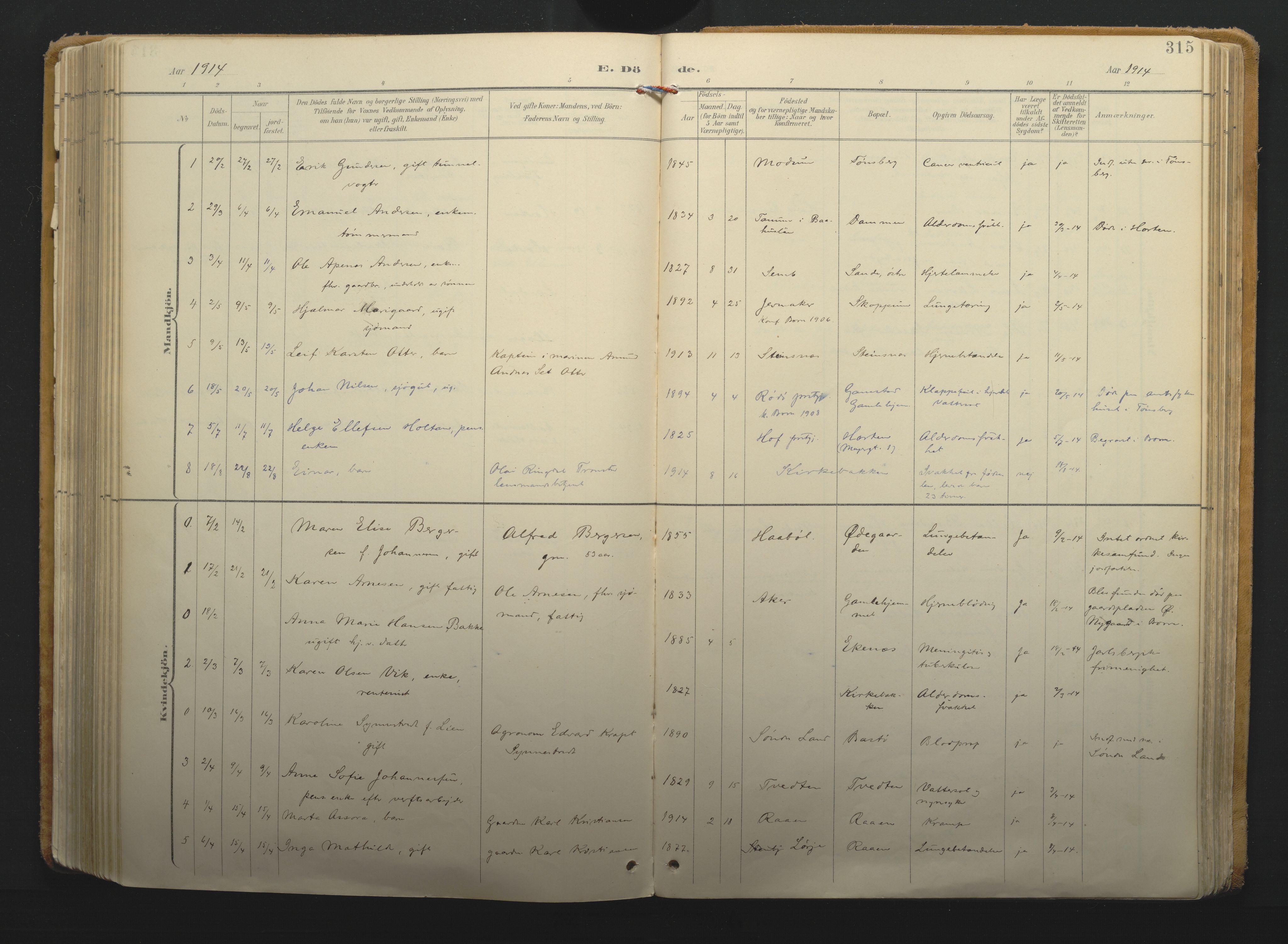 Borre kirkebøker, AV/SAKO-A-338/F/Fa/L0011: Ministerialbok nr. I 11, 1897-1921, s. 315