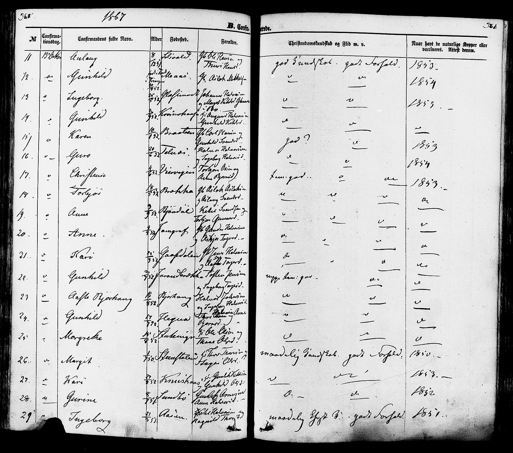 Seljord kirkebøker, SAKO/A-20/F/Fa/L0013: Ministerialbok nr. I 13, 1866-1876, s. 360-361
