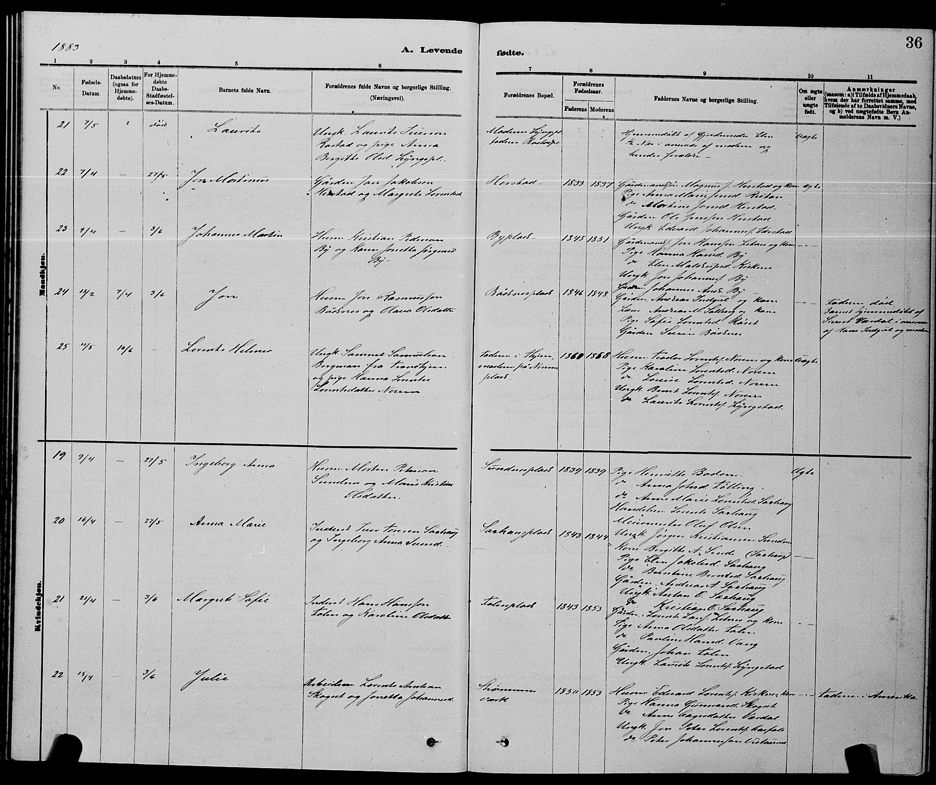 Ministerialprotokoller, klokkerbøker og fødselsregistre - Nord-Trøndelag, SAT/A-1458/730/L0301: Klokkerbok nr. 730C04, 1880-1897, s. 36