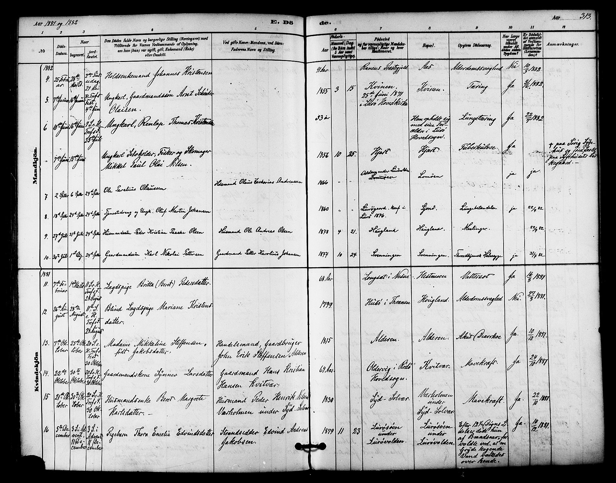 Ministerialprotokoller, klokkerbøker og fødselsregistre - Nordland, AV/SAT-A-1459/839/L0568: Ministerialbok nr. 839A05, 1880-1902, s. 313