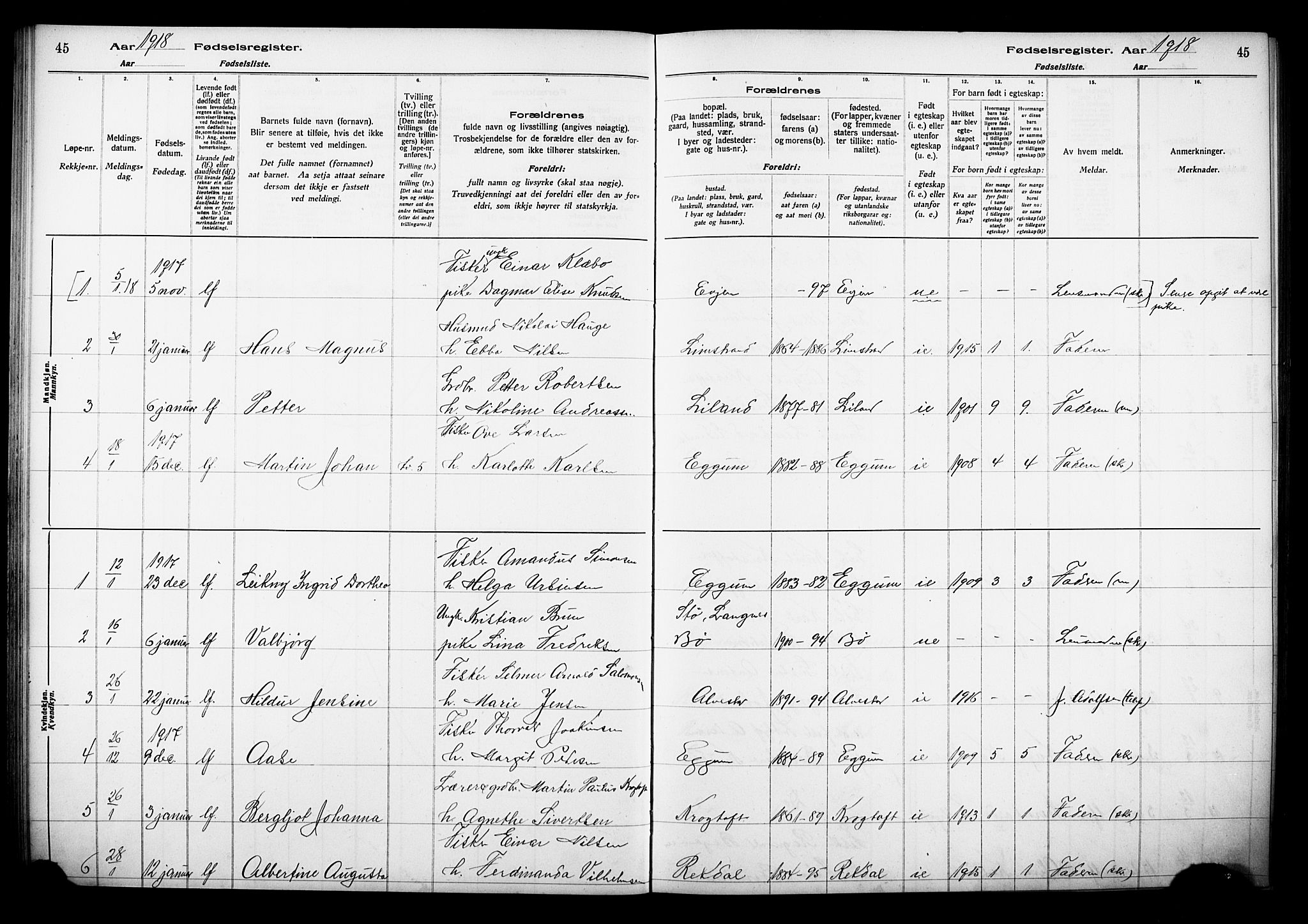 Ministerialprotokoller, klokkerbøker og fødselsregistre - Nordland, AV/SAT-A-1459/880/L1145: Fødselsregister nr. 880.II.4.1, 1916-1929, s. 45