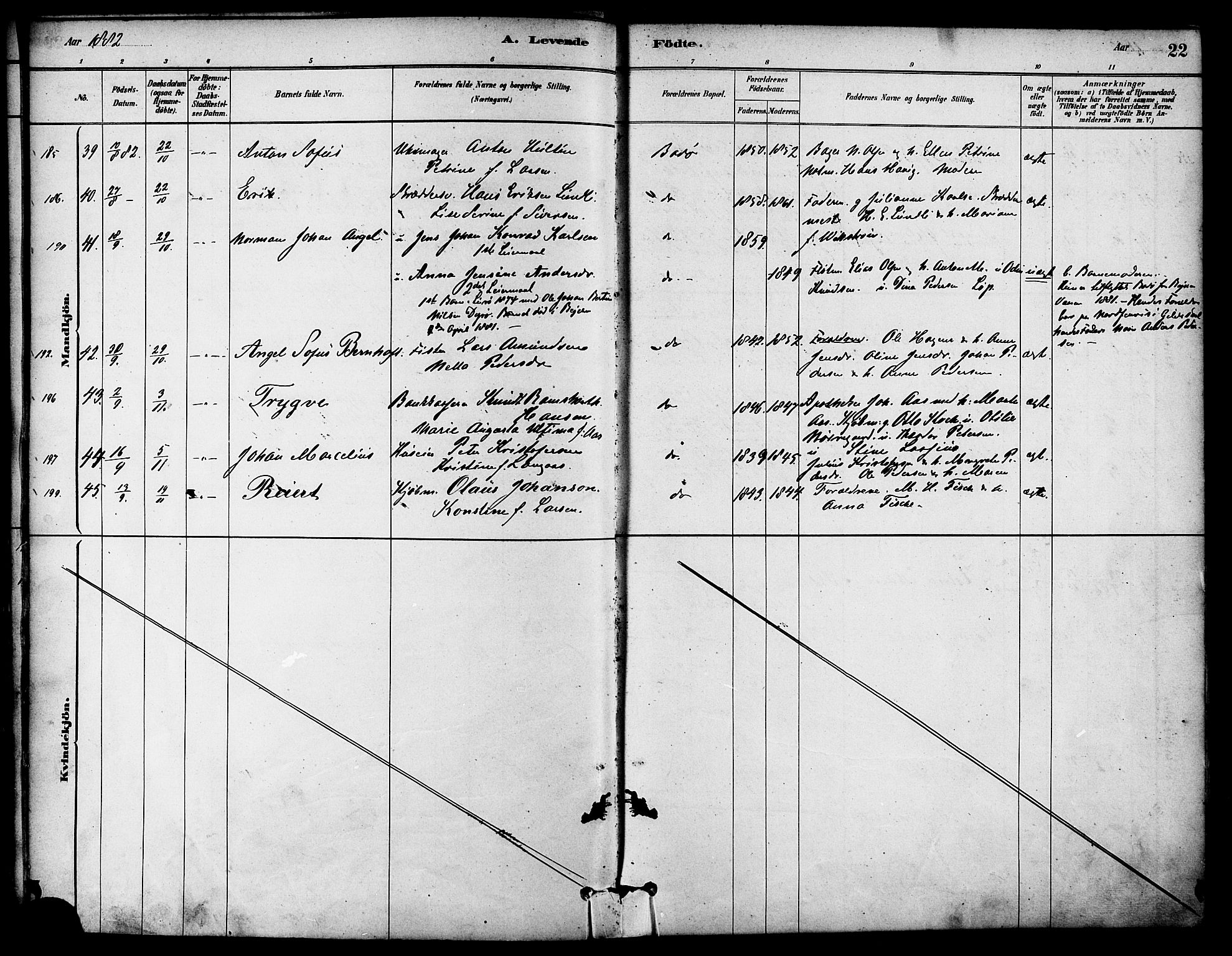 Ministerialprotokoller, klokkerbøker og fødselsregistre - Nordland, SAT/A-1459/801/L0030: Klokkerbok nr. 801C05, 1879-1887, s. 22