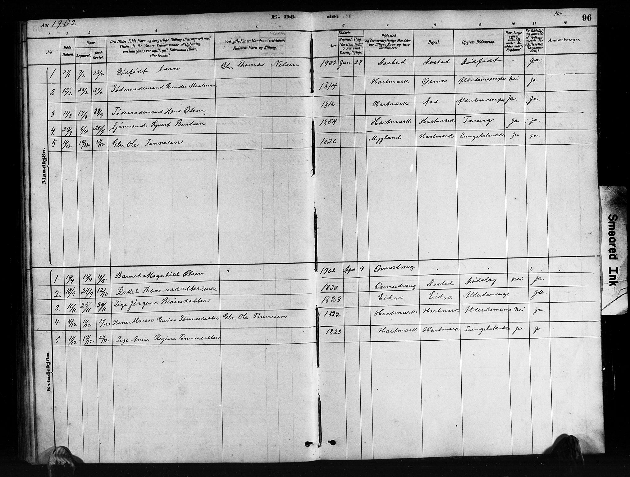 Mandal sokneprestkontor, AV/SAK-1111-0030/F/Fb/Fbb/L0004: Klokkerbok nr. B 4, 1878-1913, s. 96