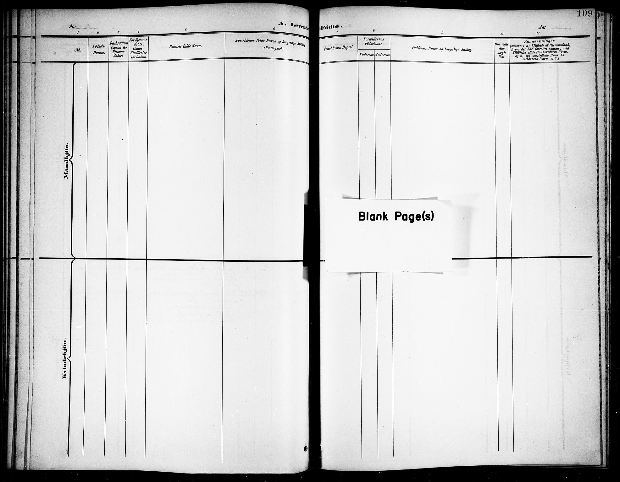 Ministerialprotokoller, klokkerbøker og fødselsregistre - Nordland, AV/SAT-A-1459/859/L0860: Klokkerbok nr. 859C06, 1899-1909, s. 109