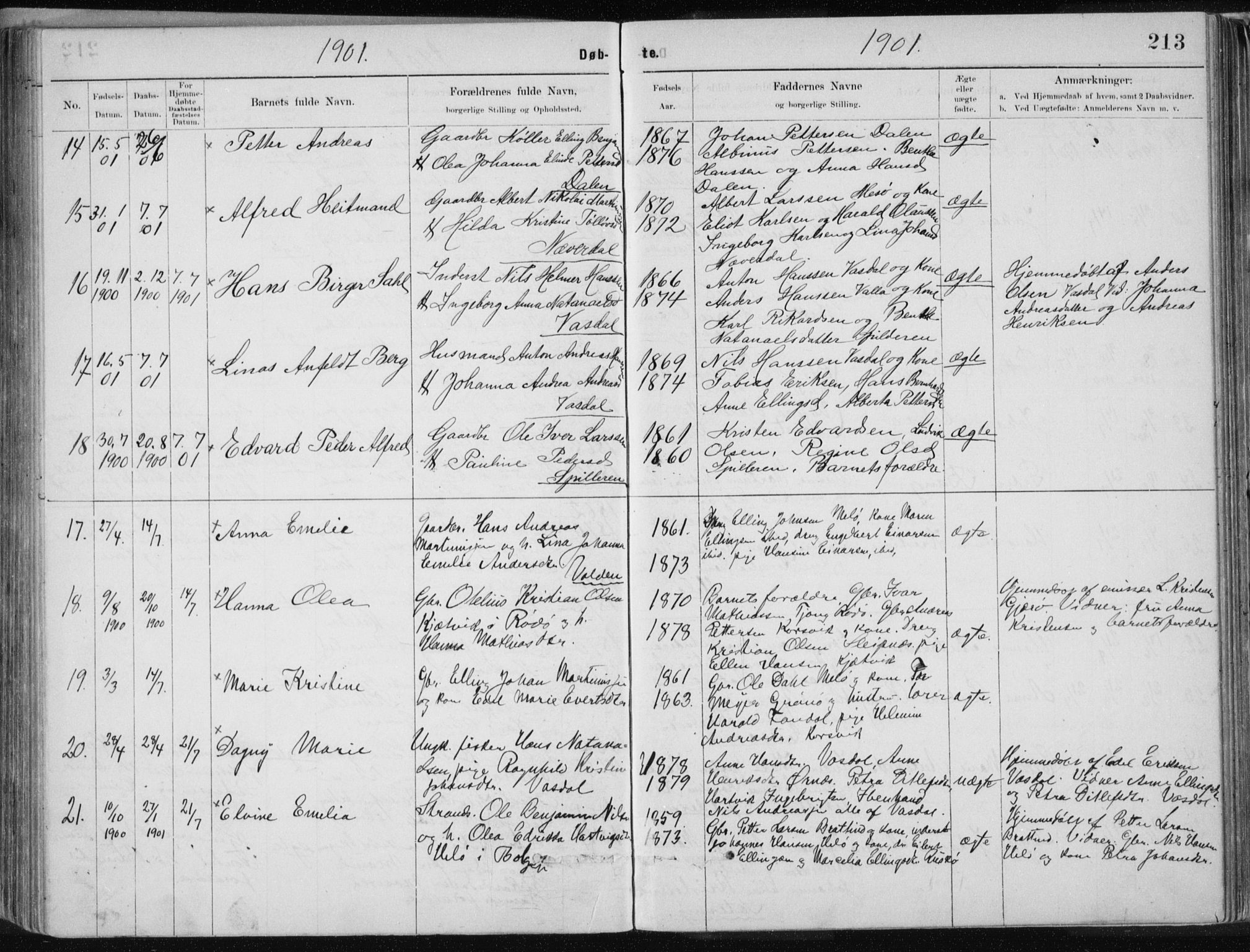 Ministerialprotokoller, klokkerbøker og fødselsregistre - Nordland, AV/SAT-A-1459/843/L0636: Klokkerbok nr. 843C05, 1884-1909, s. 213