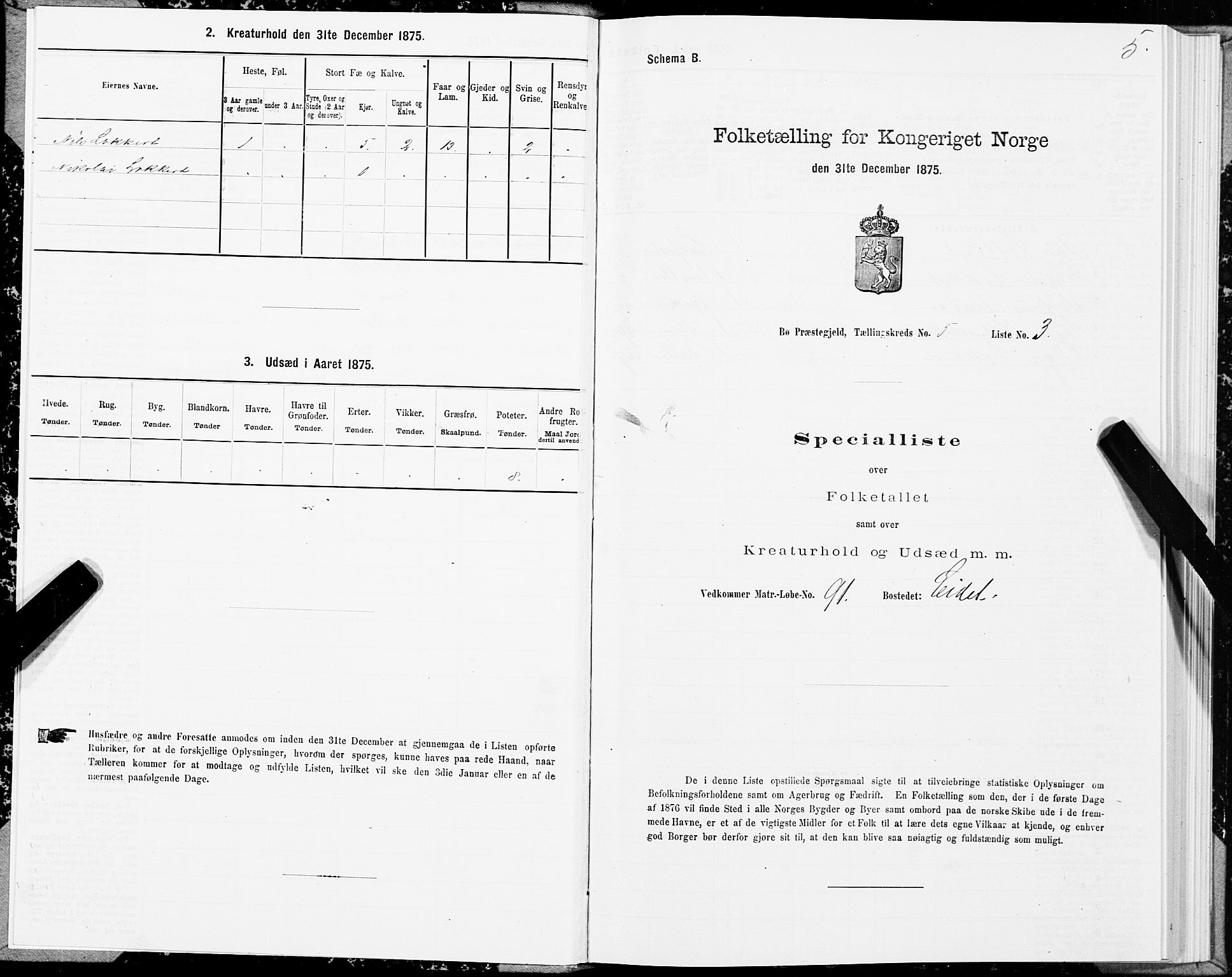 SAT, Folketelling 1875 for 1867P Bø prestegjeld, 1875, s. 3005