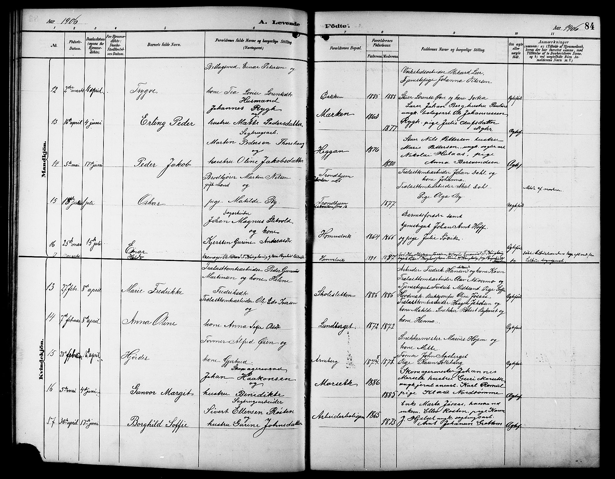 Ministerialprotokoller, klokkerbøker og fødselsregistre - Sør-Trøndelag, AV/SAT-A-1456/617/L0431: Klokkerbok nr. 617C01, 1889-1910, s. 84