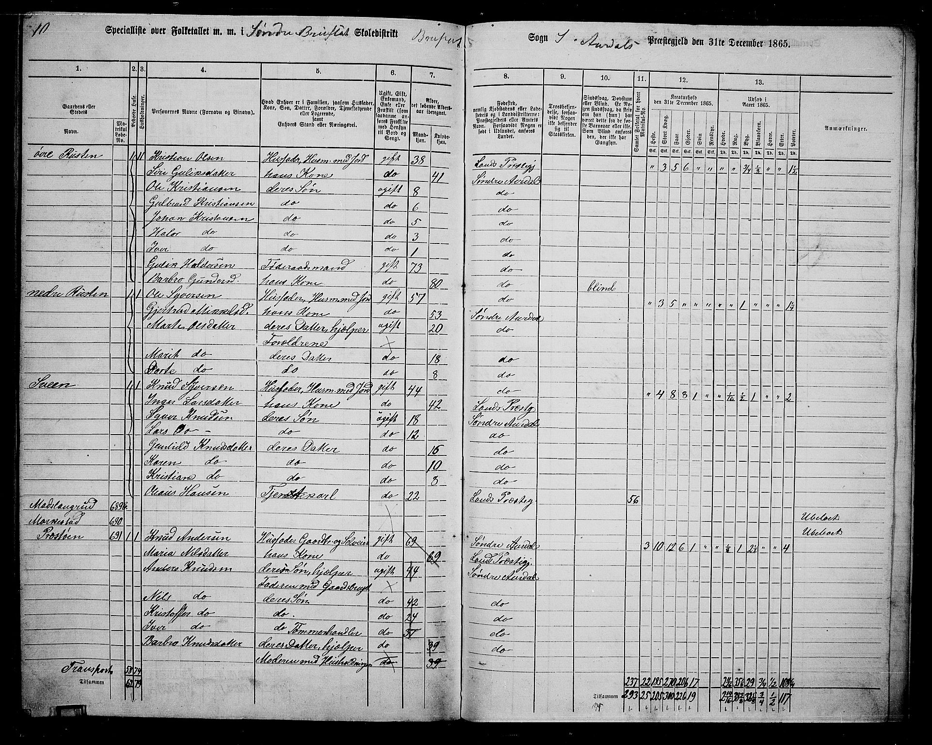 RA, Folketelling 1865 for 0540P Sør-Aurdal prestegjeld, 1865, s. 245