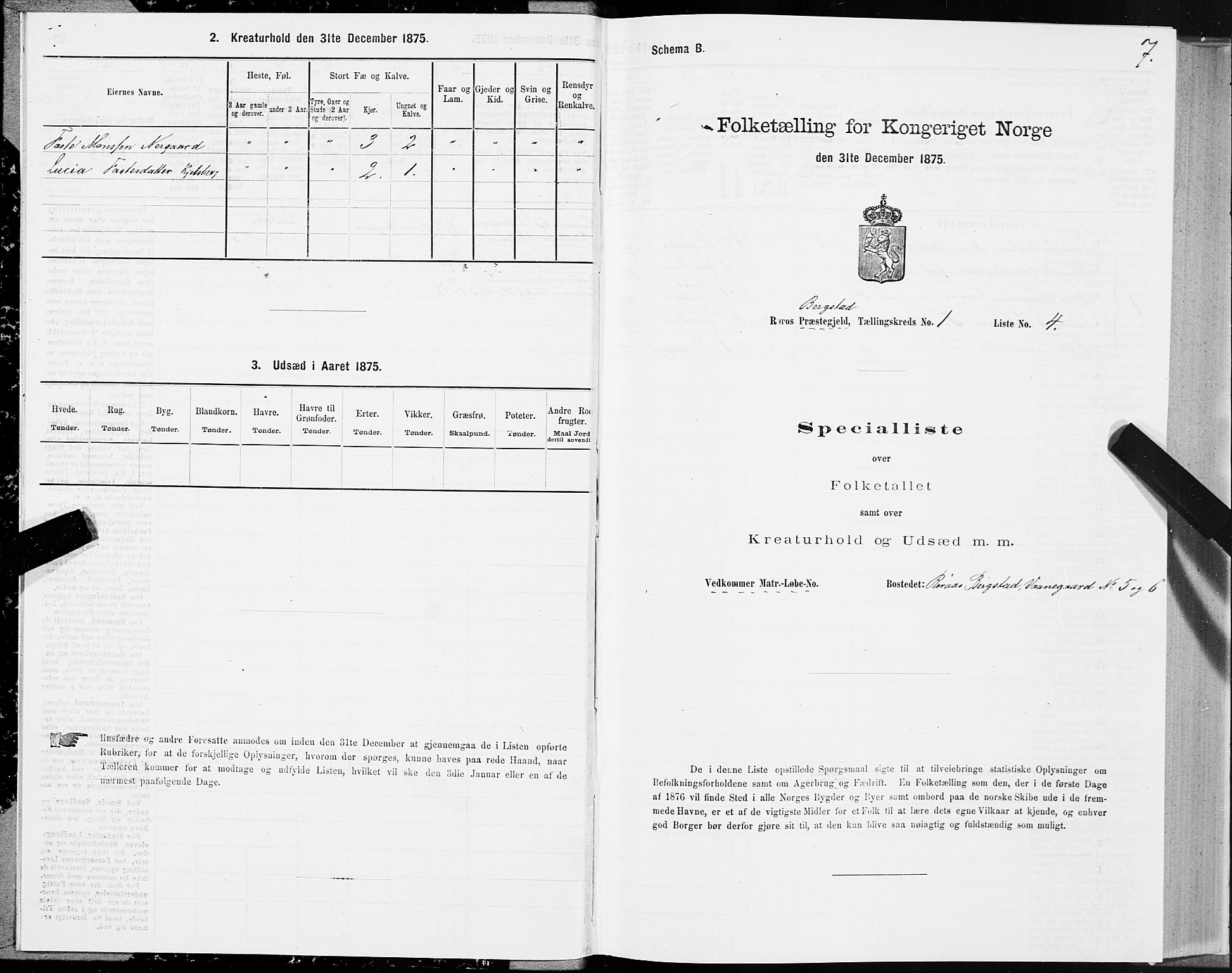 SAT, Folketelling 1875 for 1640P Røros prestegjeld, 1875, s. 1007