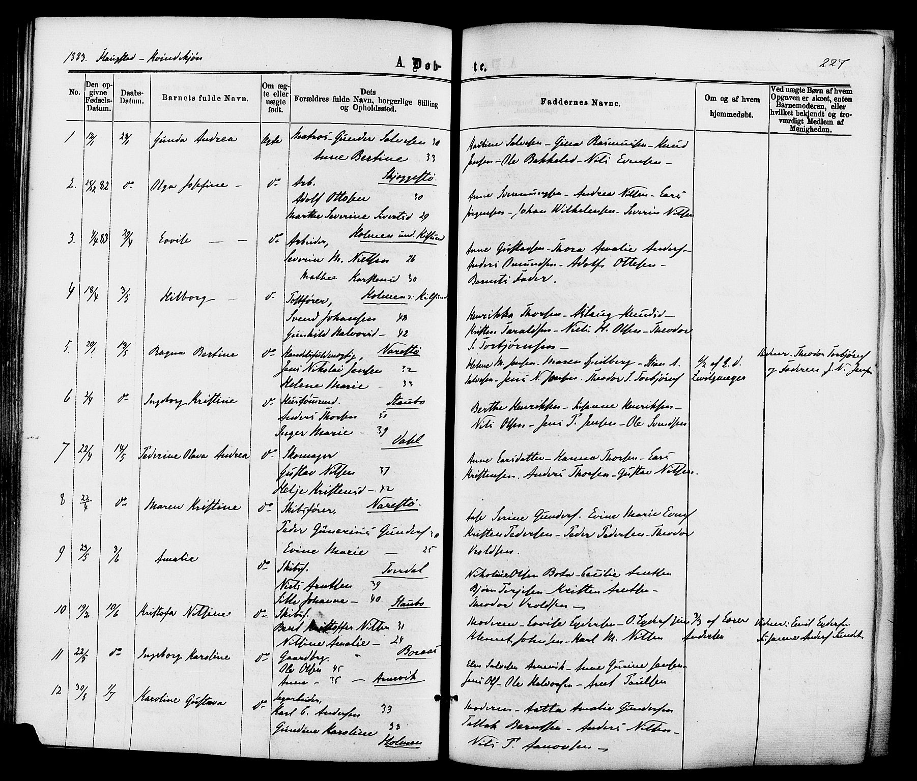 Dypvåg sokneprestkontor, AV/SAK-1111-0007/F/Fa/Faa/L0007: Ministerialbok nr. A 7 /2, 1877-1884, s. 227