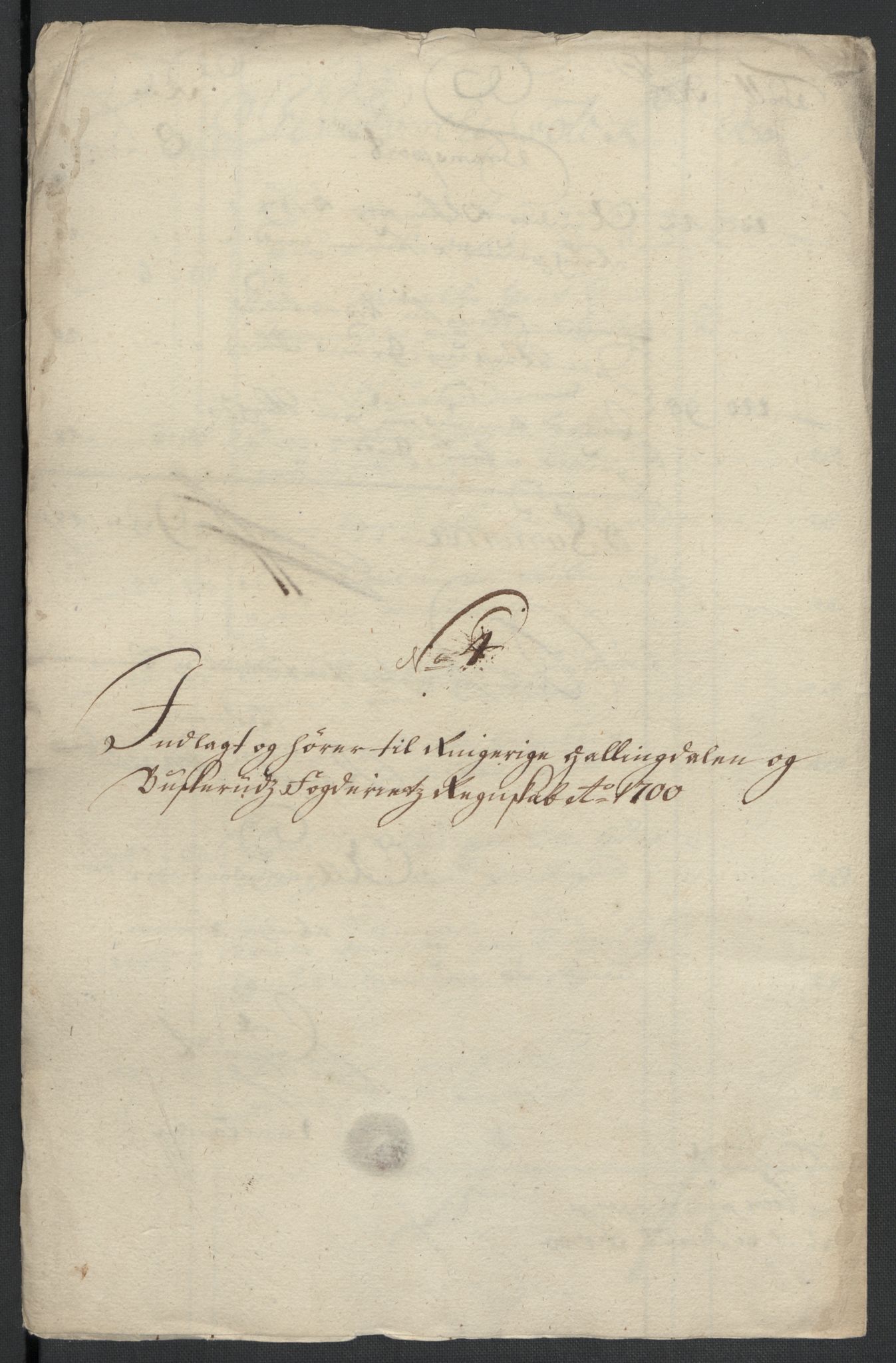 Rentekammeret inntil 1814, Reviderte regnskaper, Fogderegnskap, RA/EA-4092/R22/L1457: Fogderegnskap Ringerike, Hallingdal og Buskerud, 1700, s. 88