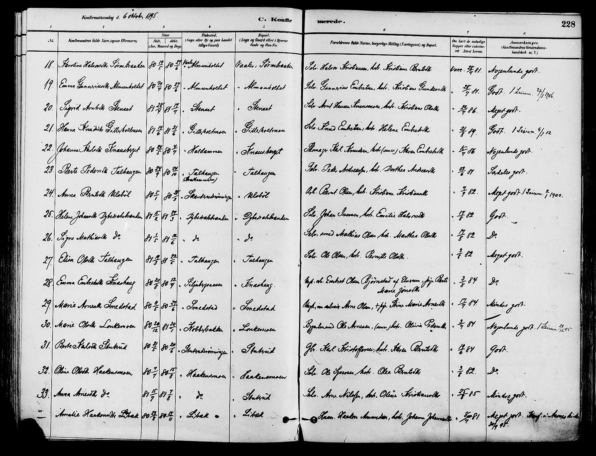 Våler prestekontor, Hedmark, AV/SAH-PREST-040/H/Ha/Haa/L0002: Ministerialbok nr. 3, 1879-1911, s. 228