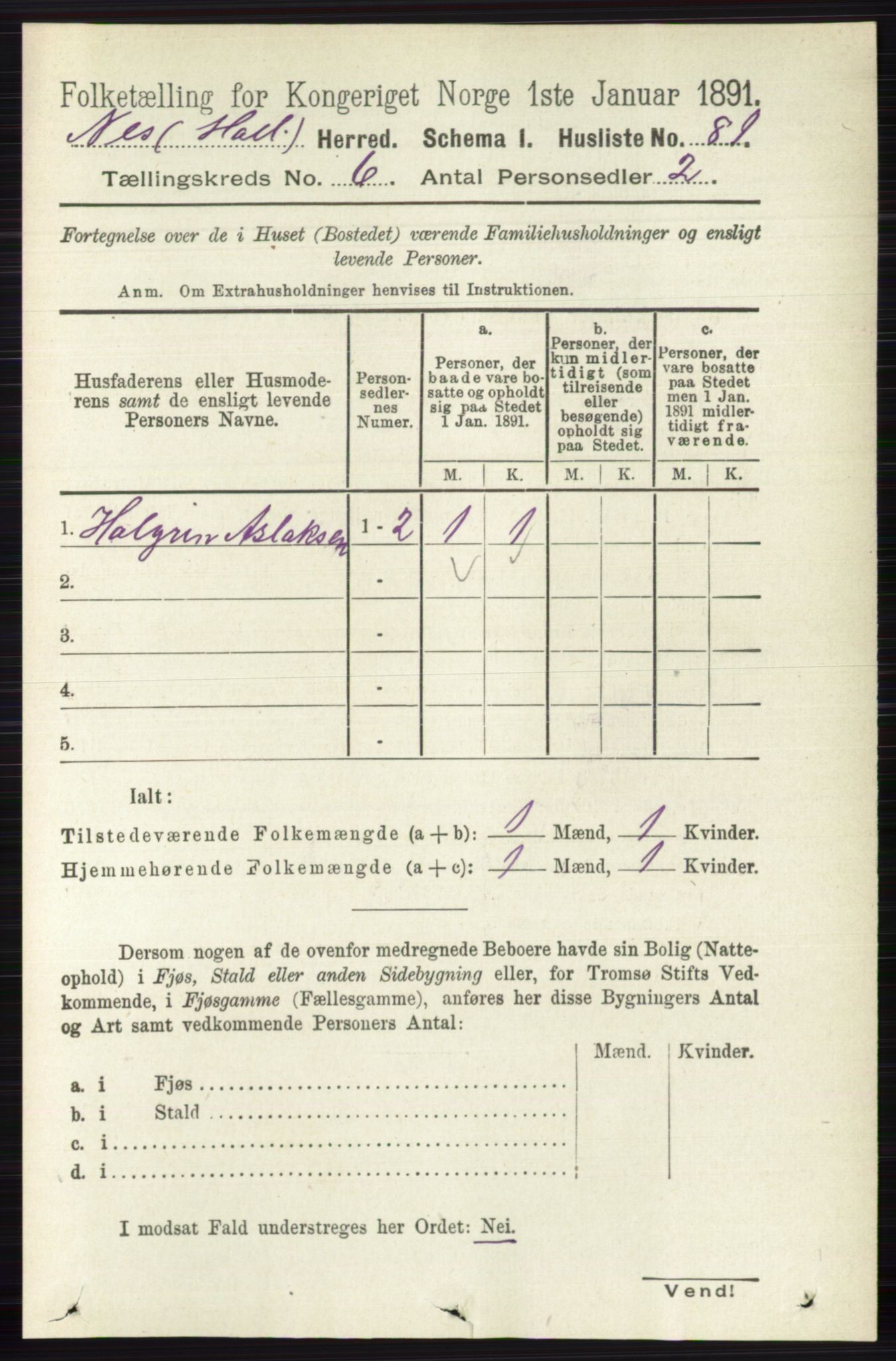 RA, Folketelling 1891 for 0616 Nes herred, 1891, s. 3035