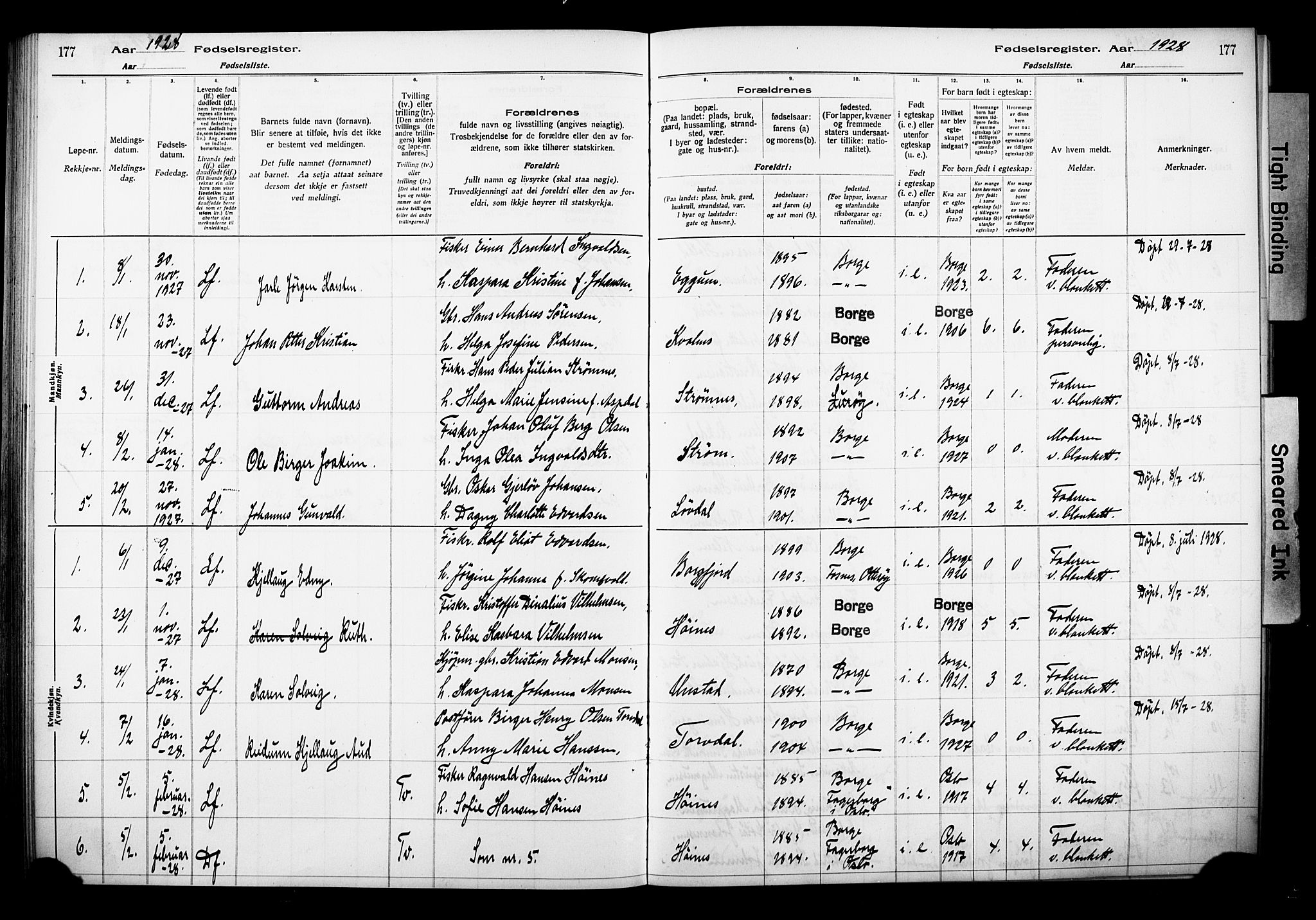 Ministerialprotokoller, klokkerbøker og fødselsregistre - Nordland, AV/SAT-A-1459/880/L1145: Fødselsregister nr. 880.II.4.1, 1916-1929, s. 177