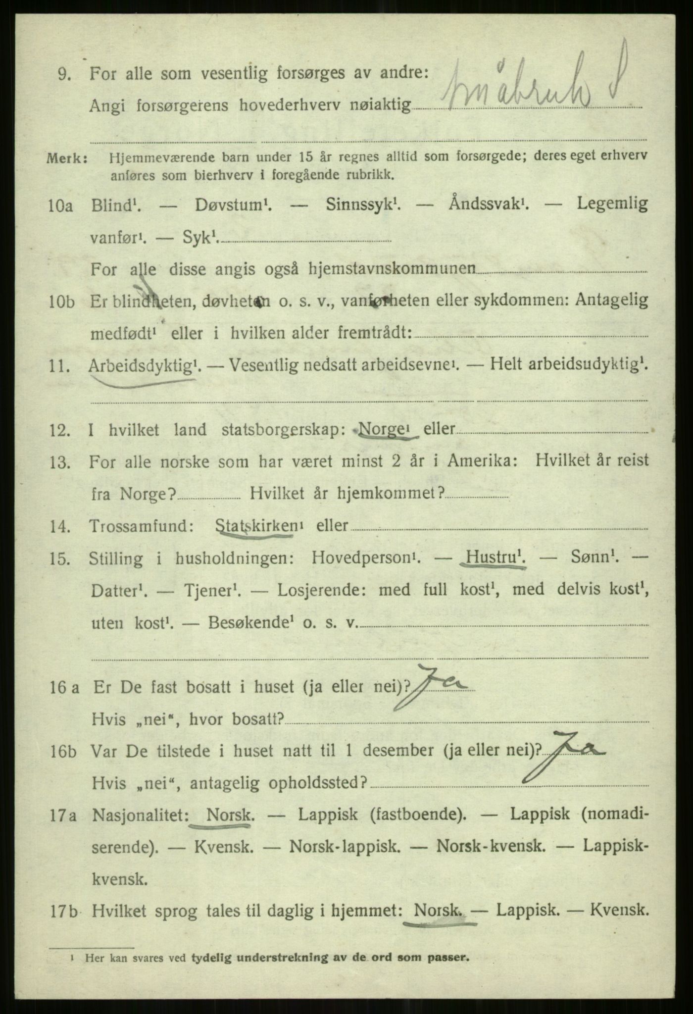 SATØ, Folketelling 1920 for 1934 Tromsøysund herred, 1920, s. 13675
