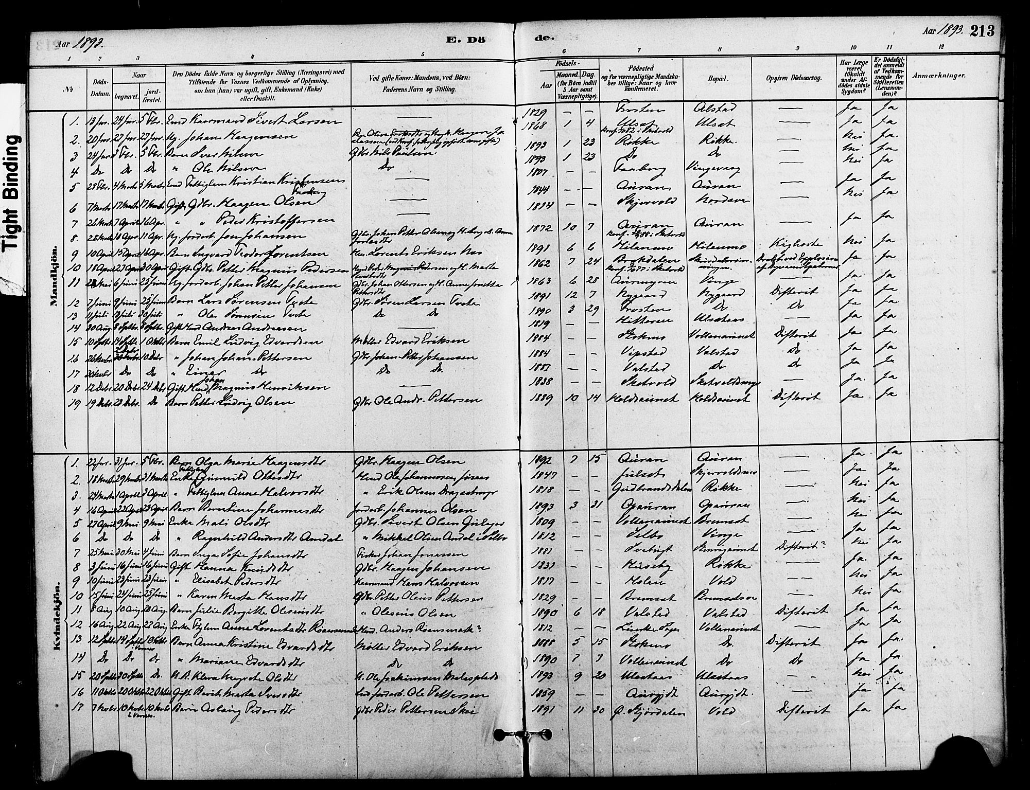 Ministerialprotokoller, klokkerbøker og fødselsregistre - Nord-Trøndelag, AV/SAT-A-1458/712/L0100: Ministerialbok nr. 712A01, 1880-1900, s. 213