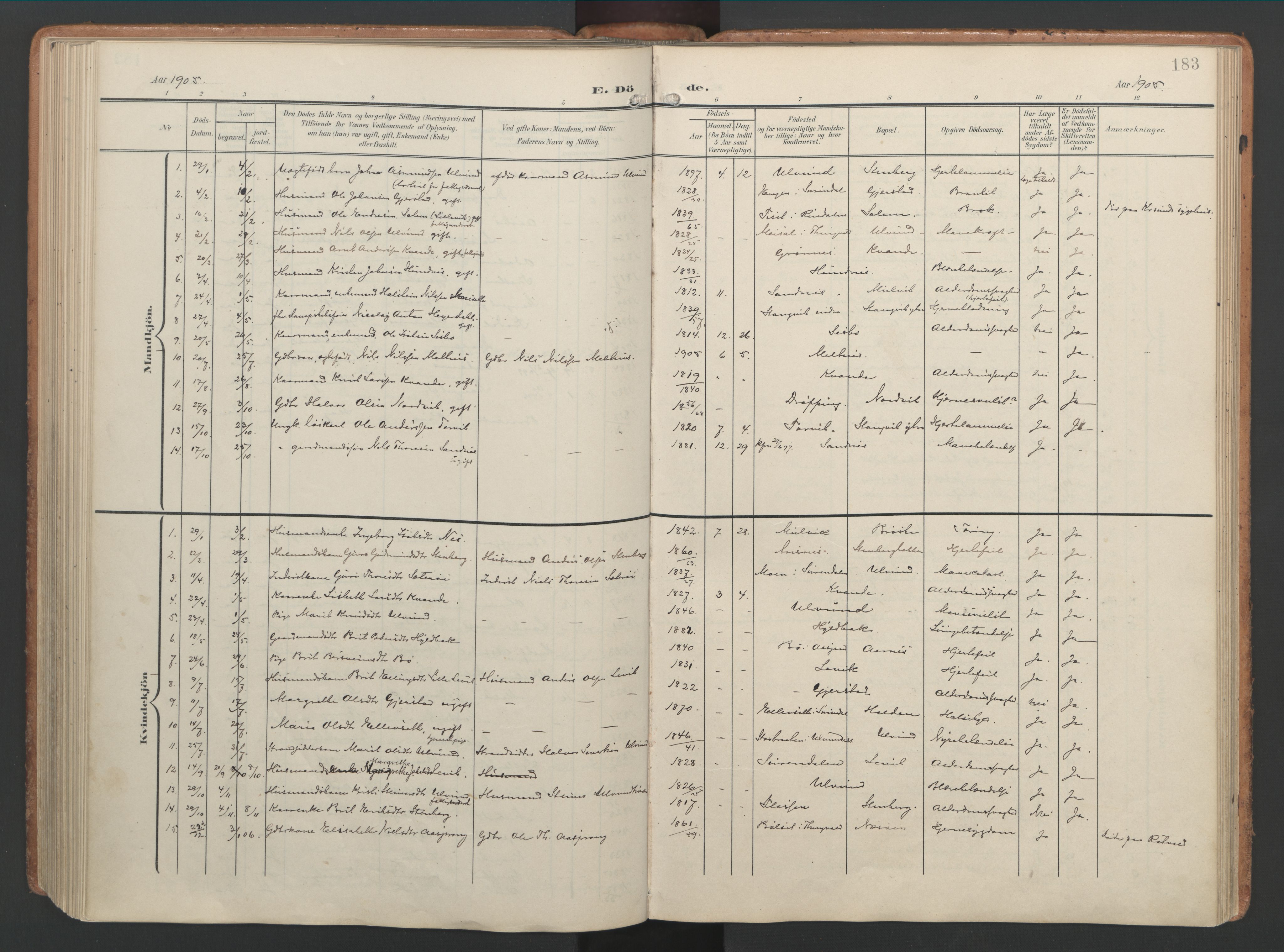 Ministerialprotokoller, klokkerbøker og fødselsregistre - Møre og Romsdal, AV/SAT-A-1454/592/L1030: Ministerialbok nr. 592A08, 1901-1925, s. 183