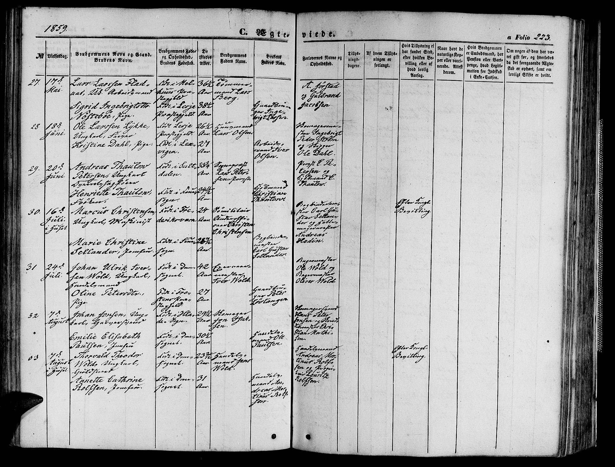 Ministerialprotokoller, klokkerbøker og fødselsregistre - Sør-Trøndelag, SAT/A-1456/602/L0139: Klokkerbok nr. 602C07, 1859-1864, s. 223