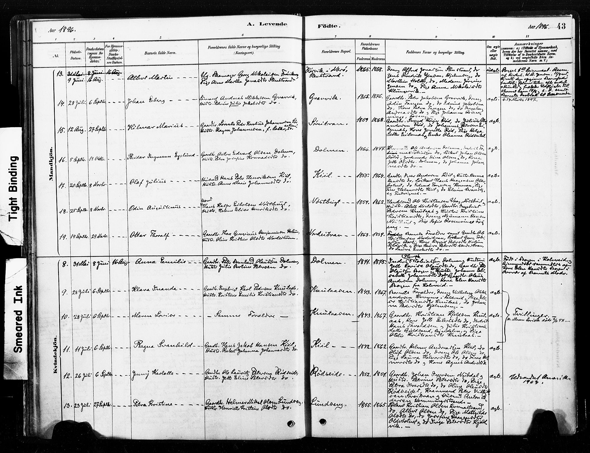 Ministerialprotokoller, klokkerbøker og fødselsregistre - Nord-Trøndelag, SAT/A-1458/789/L0705: Ministerialbok nr. 789A01, 1878-1910, s. 43