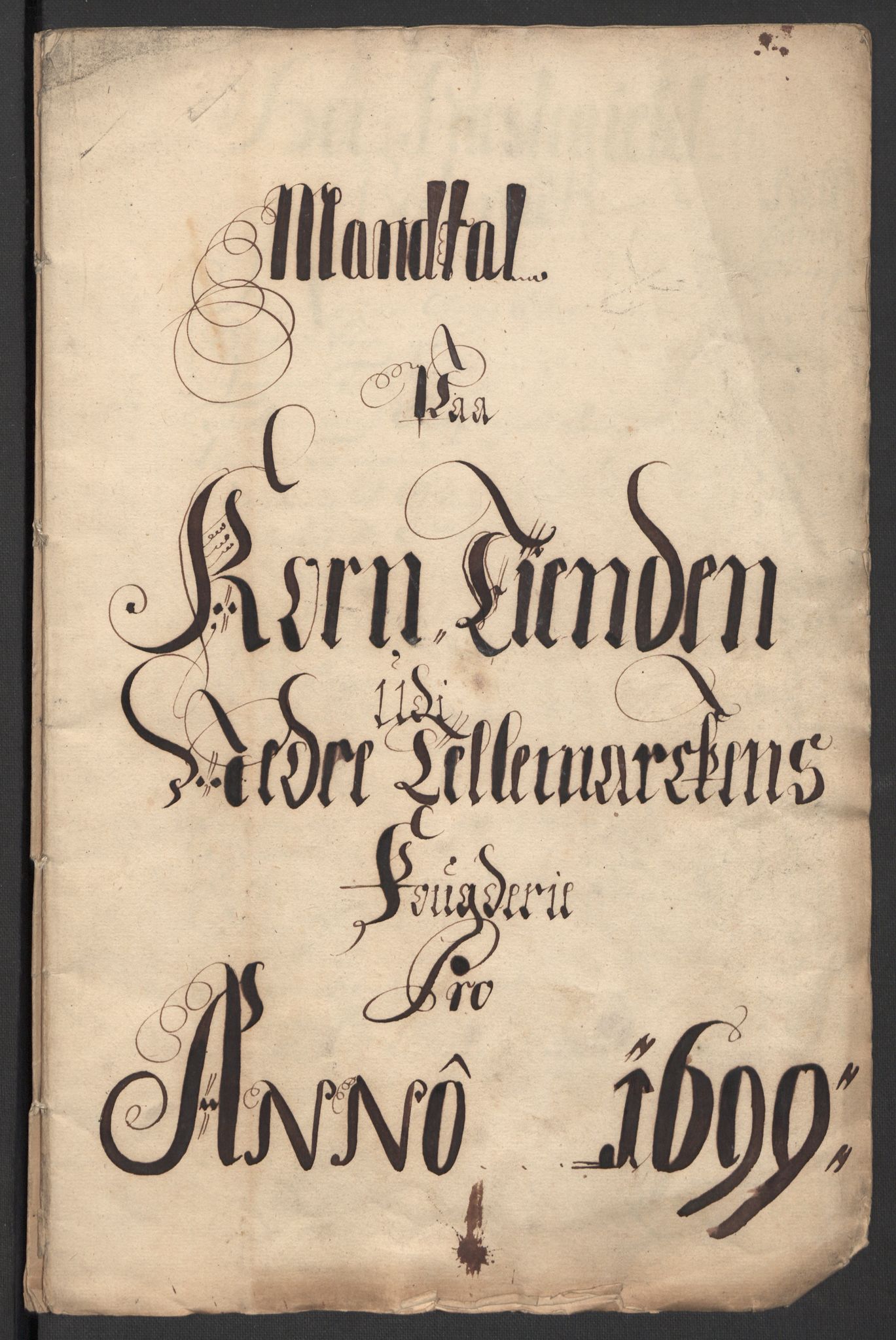 Rentekammeret inntil 1814, Reviderte regnskaper, Fogderegnskap, AV/RA-EA-4092/R36/L2100: Fogderegnskap Øvre og Nedre Telemark og Bamble, 1699, s. 25