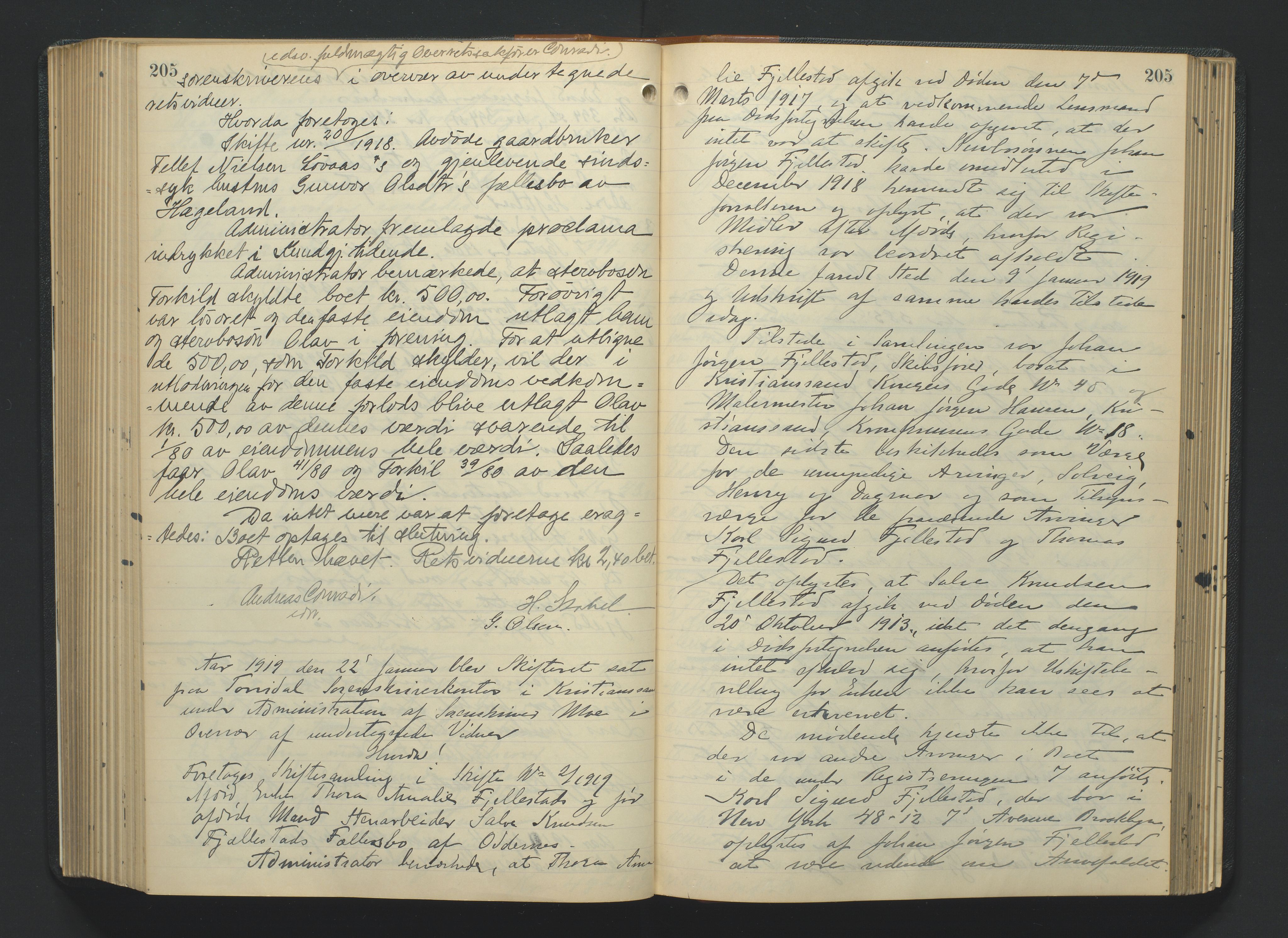 Torridal sorenskriveri, AV/SAK-1221-0012/H/Hc/L0023: Skifteforhandlingsprotokoll med navneregister nr. 9, 1915-1921, s. 205