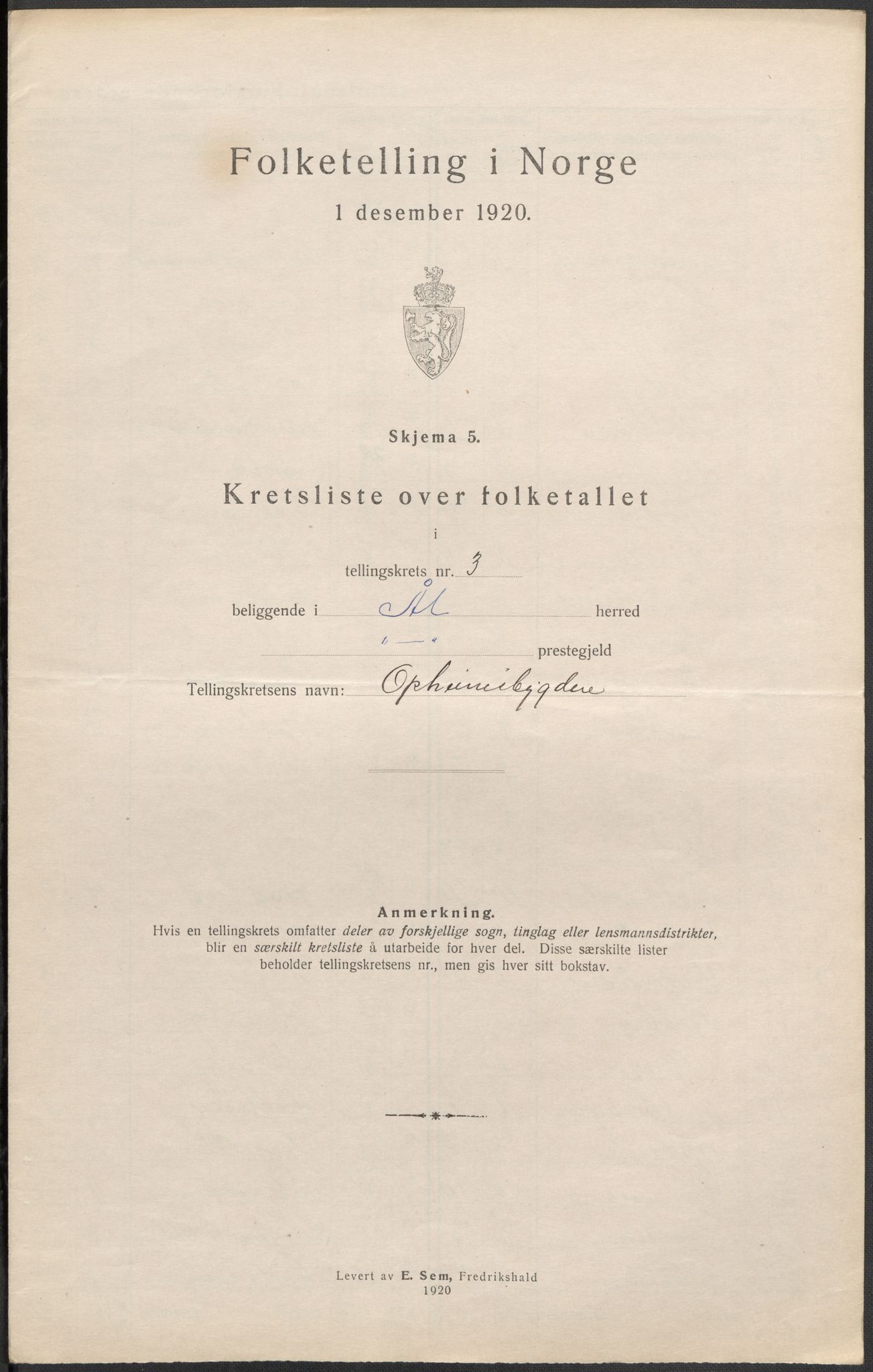 SAKO, Folketelling 1920 for 0619 Ål herred, 1920, s. 11