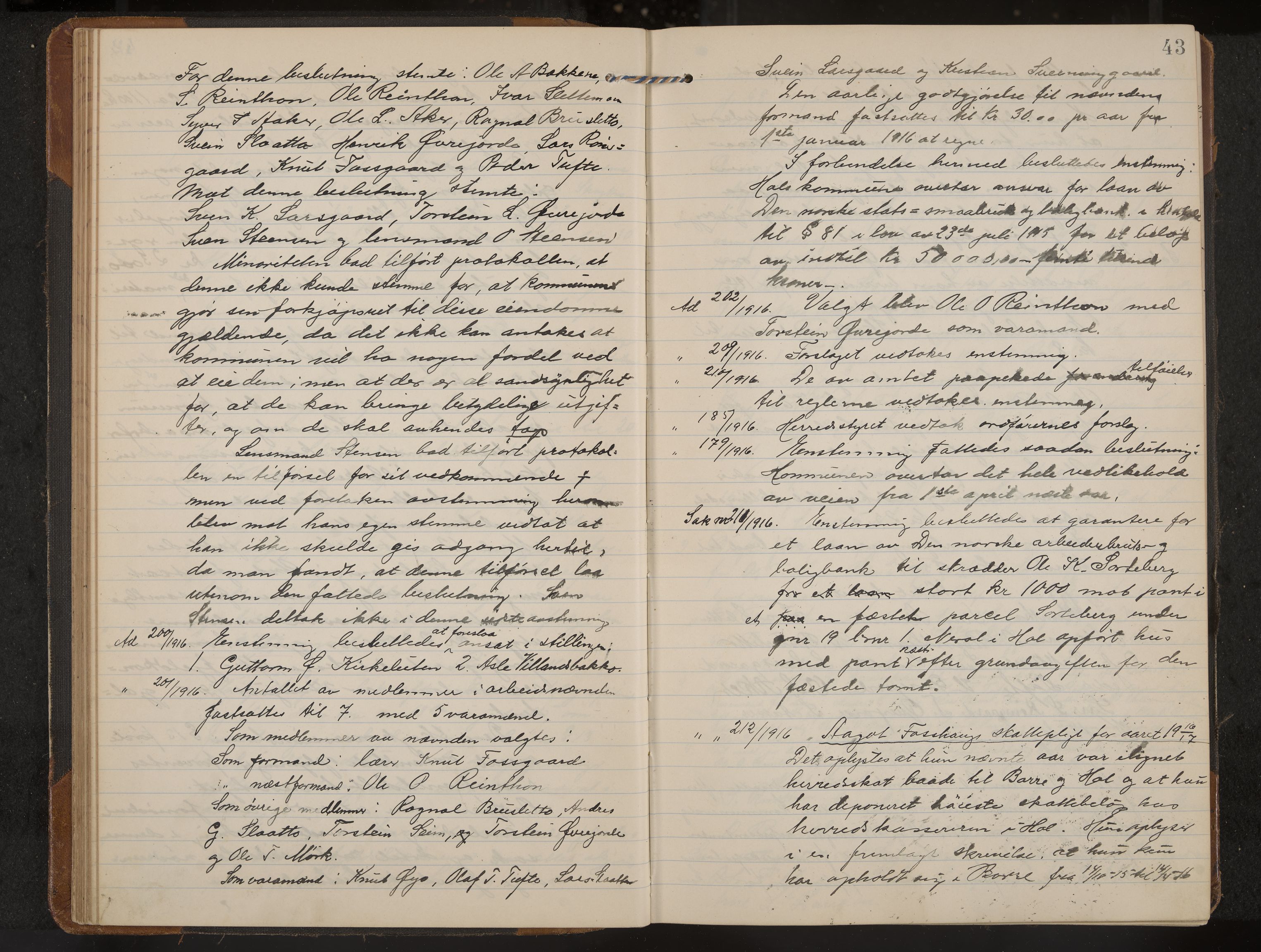 Hol formannskap og sentraladministrasjon, IKAK/0620021-1/A/L0006: Møtebok, 1916-1922, s. 43