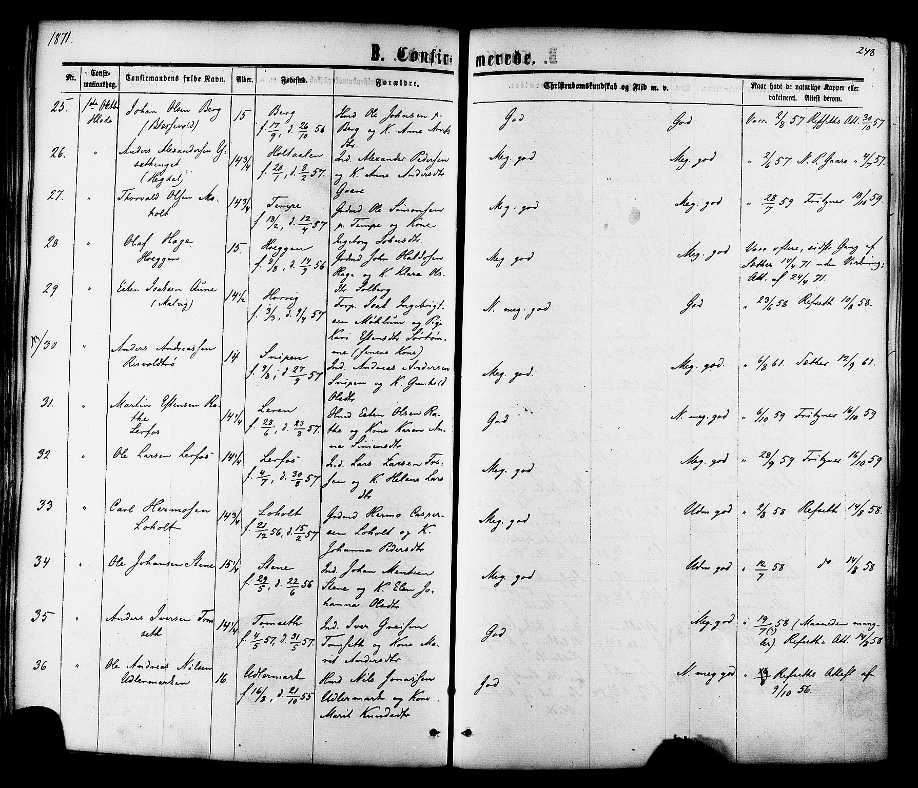 Ministerialprotokoller, klokkerbøker og fødselsregistre - Sør-Trøndelag, SAT/A-1456/606/L0293: Ministerialbok nr. 606A08, 1866-1877, s. 248