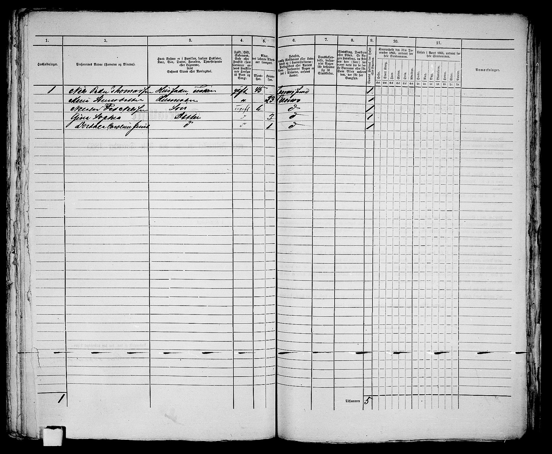 RA, Folketelling 1865 for 1902P Tromsø prestegjeld, 1865, s. 300