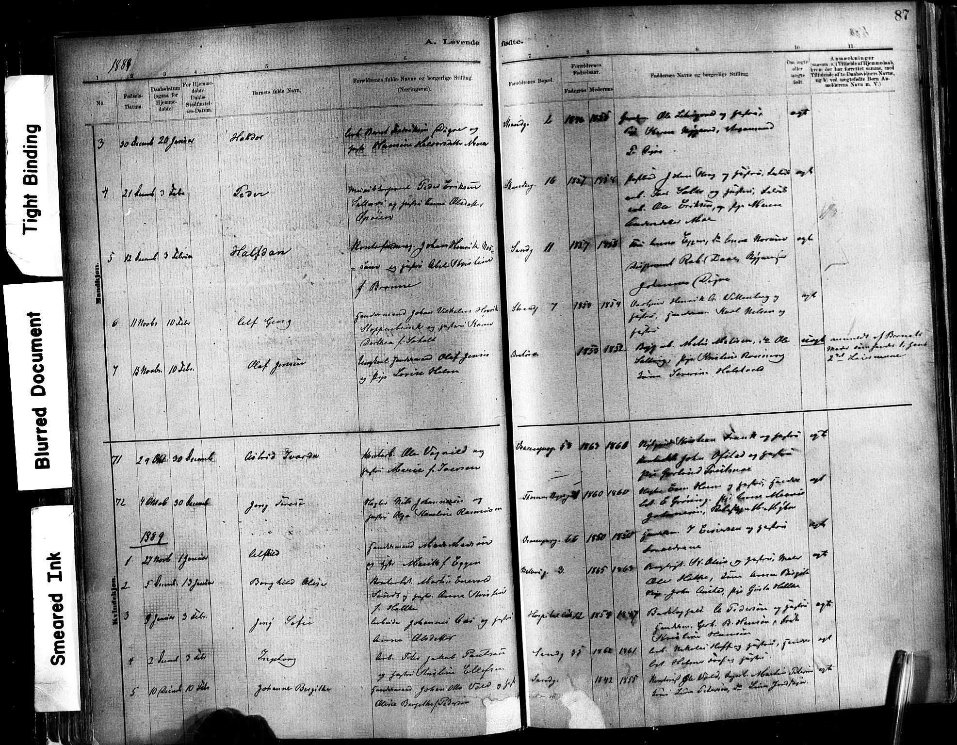 Ministerialprotokoller, klokkerbøker og fødselsregistre - Sør-Trøndelag, SAT/A-1456/602/L0119: Ministerialbok nr. 602A17, 1880-1901, s. 87
