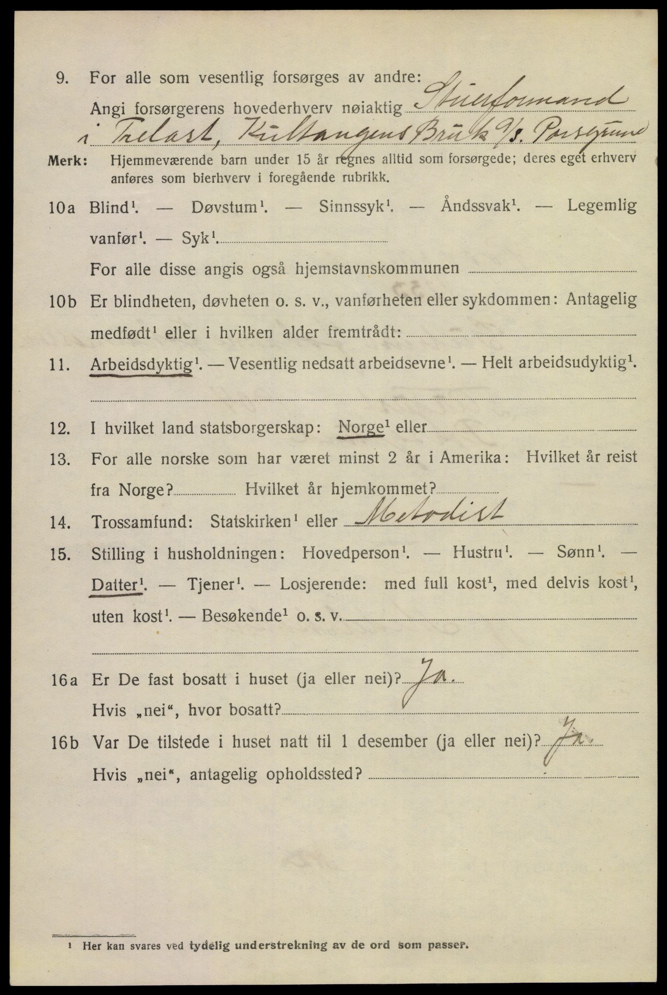 SAKO, Folketelling 1920 for 0805 Porsgrunn kjøpstad, 1920, s. 17384