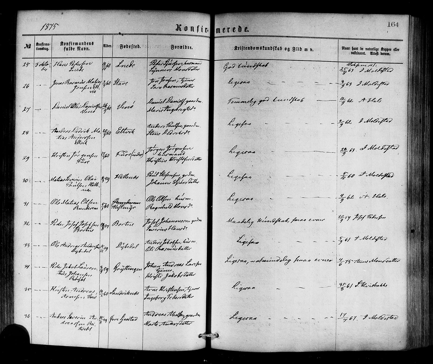 Selje sokneprestembete, AV/SAB-A-99938/H/Ha/Haa/Haaa: Ministerialbok nr. A 12, 1870-1880, s. 164