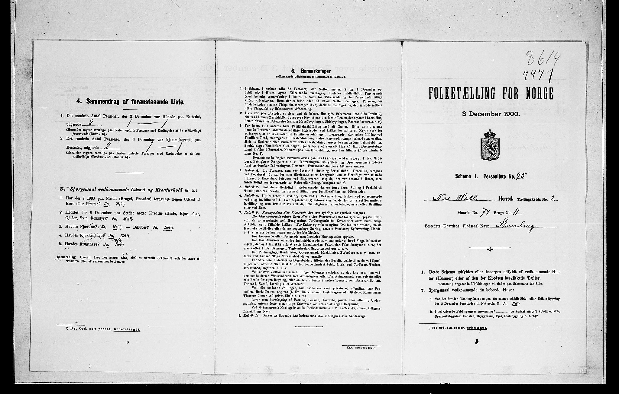 RA, Folketelling 1900 for 0616 Nes herred, 1900, s. 50