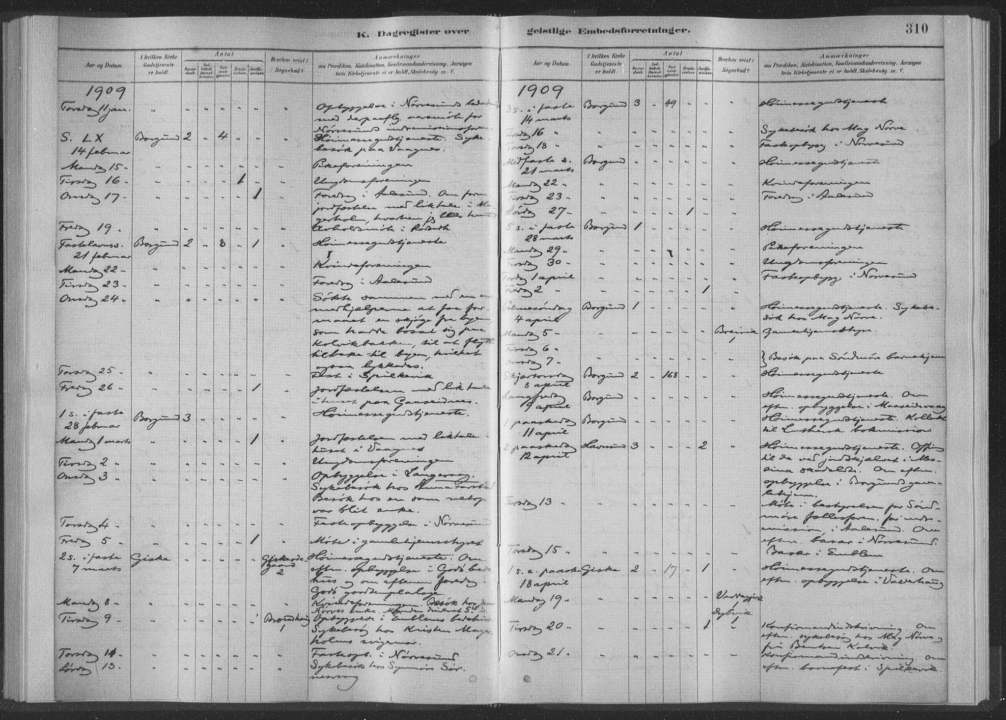 Ministerialprotokoller, klokkerbøker og fødselsregistre - Møre og Romsdal, AV/SAT-A-1454/528/L0404: Ministerialbok nr. 528A13II, 1880-1922, s. 310