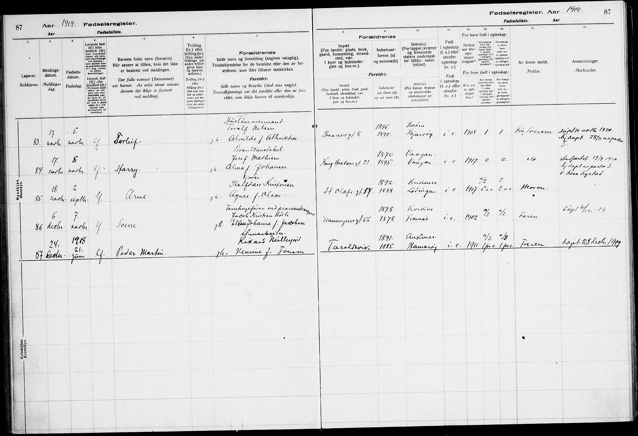 Ministerialprotokoller, klokkerbøker og fødselsregistre - Nordland, AV/SAT-A-1459/871/L1013: Fødselsregister nr. 871.II.4.1, 1916-1924, s. 87