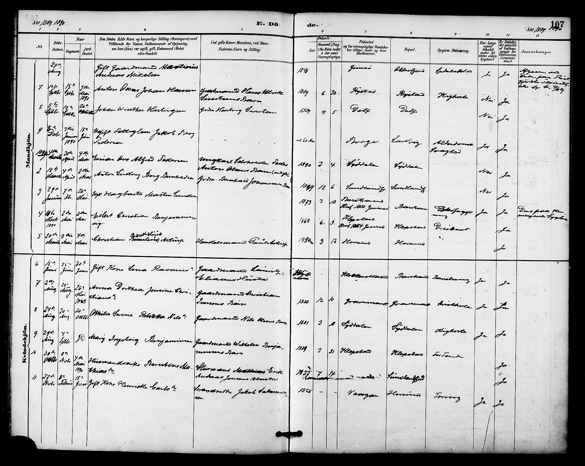 Ministerialprotokoller, klokkerbøker og fødselsregistre - Nordland, SAT/A-1459/876/L1097: Ministerialbok nr. 876A03, 1886-1896, s. 107