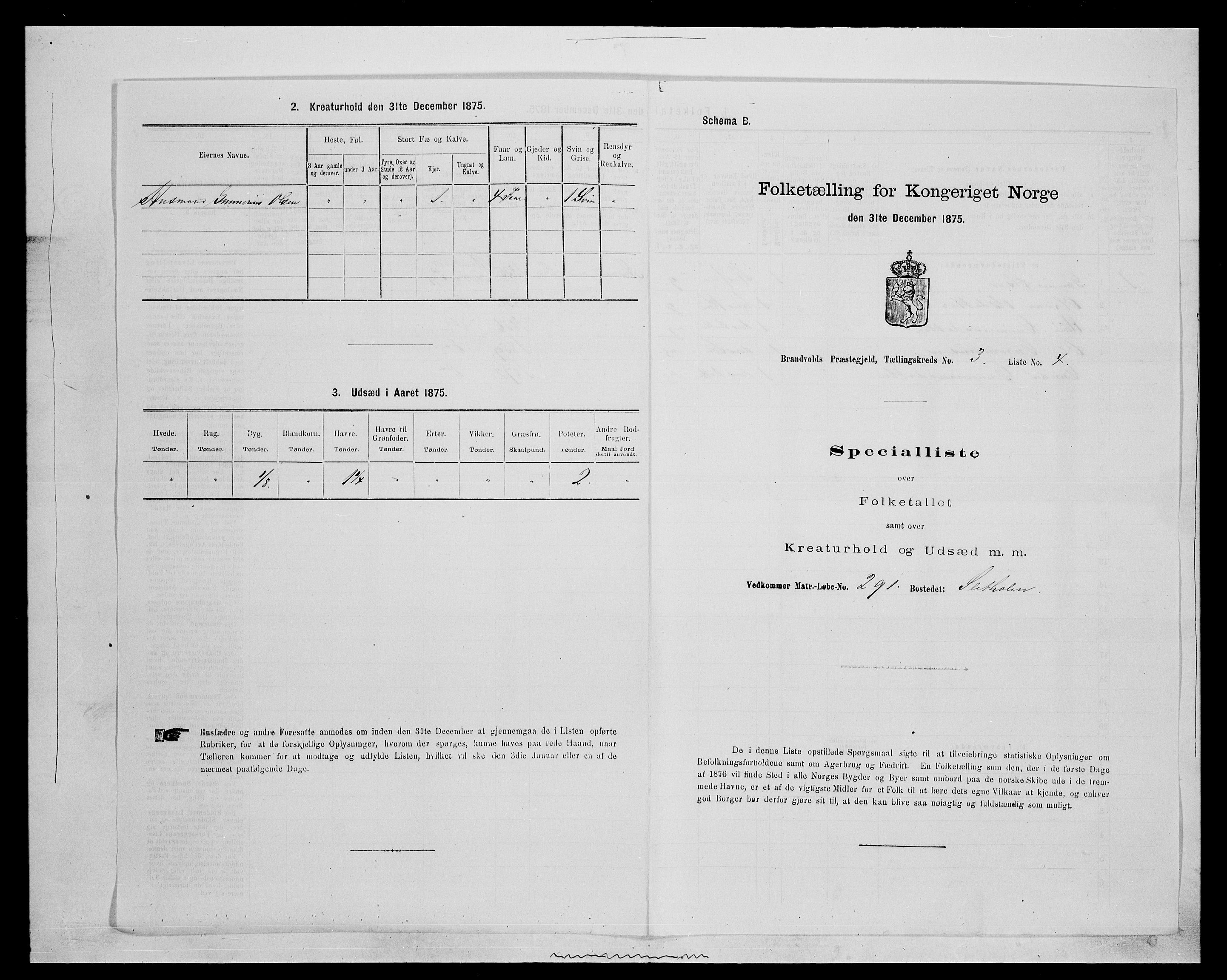 SAH, Folketelling 1875 for 0422P Brandval prestegjeld, 1875, s. 416