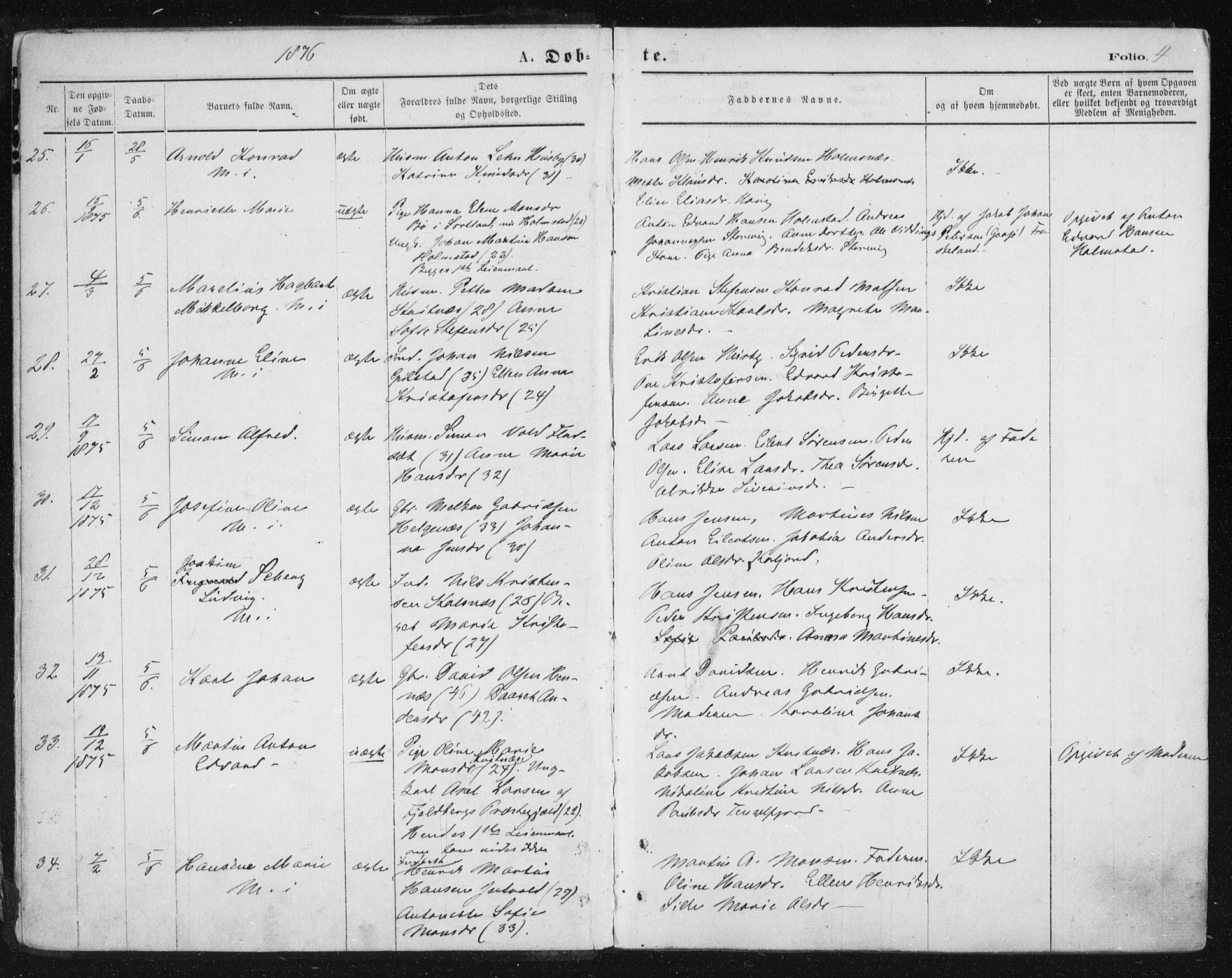 Ministerialprotokoller, klokkerbøker og fødselsregistre - Nordland, AV/SAT-A-1459/888/L1243: Ministerialbok nr. 888A09, 1876-1879, s. 4