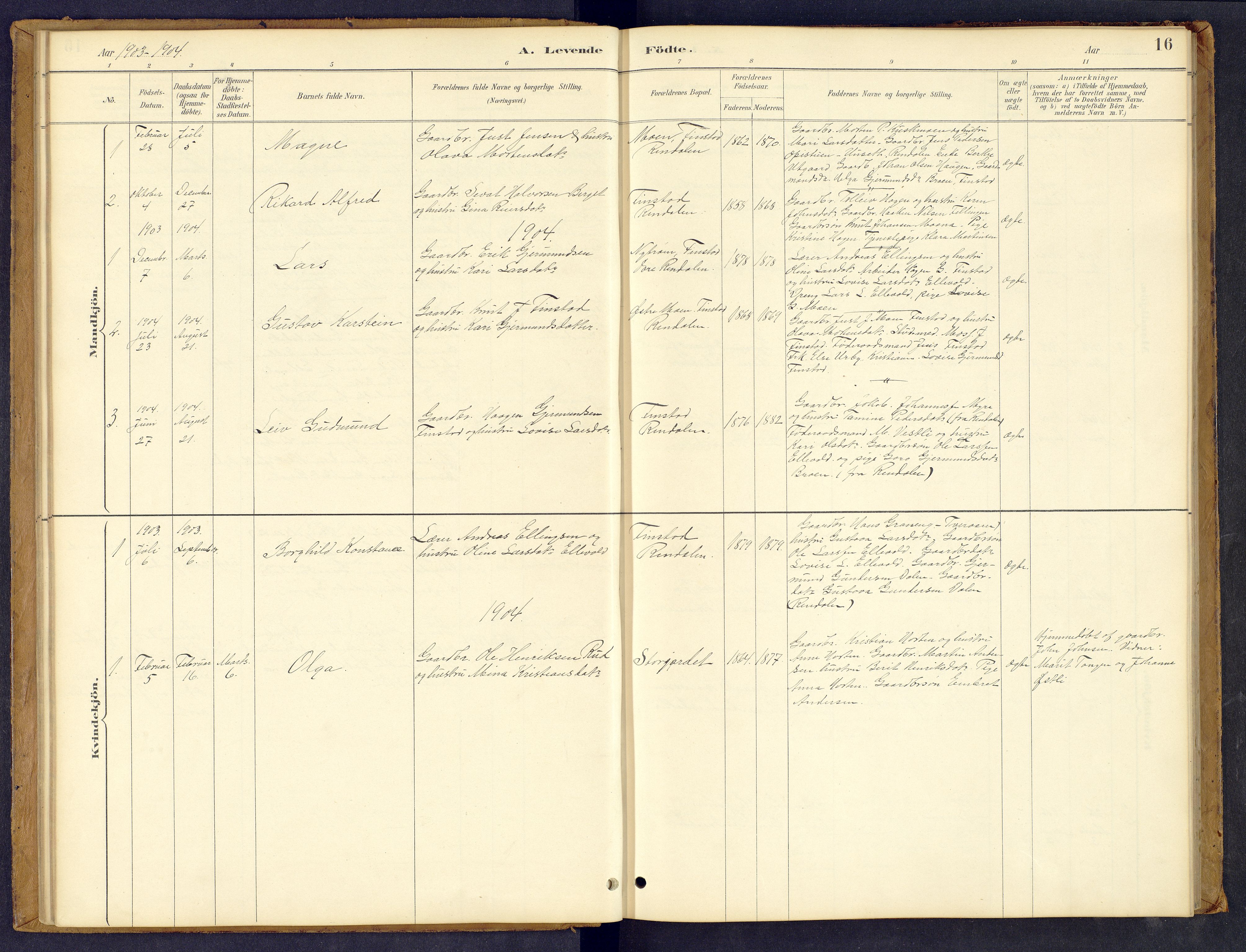 Tynset prestekontor, AV/SAH-PREST-058/H/Ha/Hab/L0008: Klokkerbok nr. 8, 1884-1916, s. 16